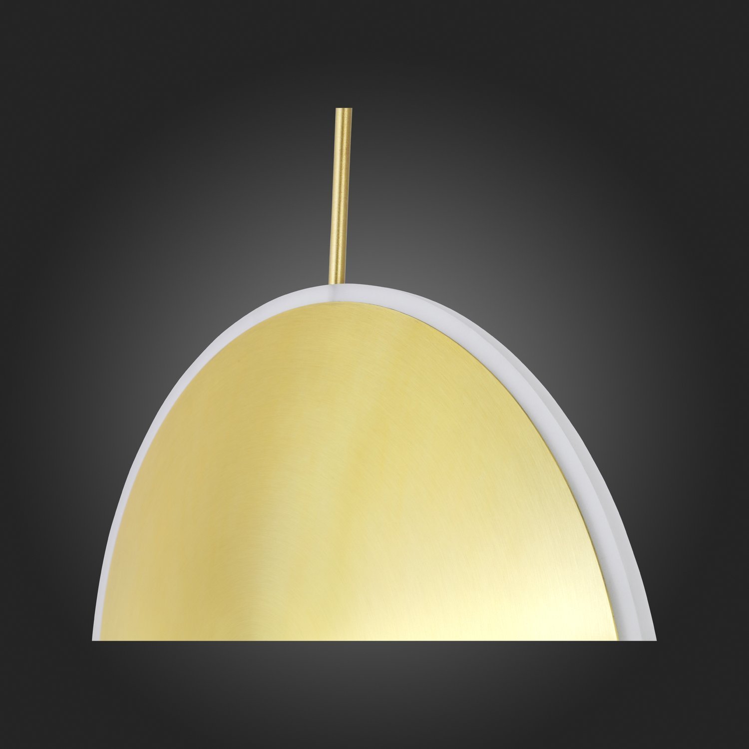 картинка Подвесной светодиодный светильник ST Luce Imente SL1221.213.01 от магазина pro-decor.kz