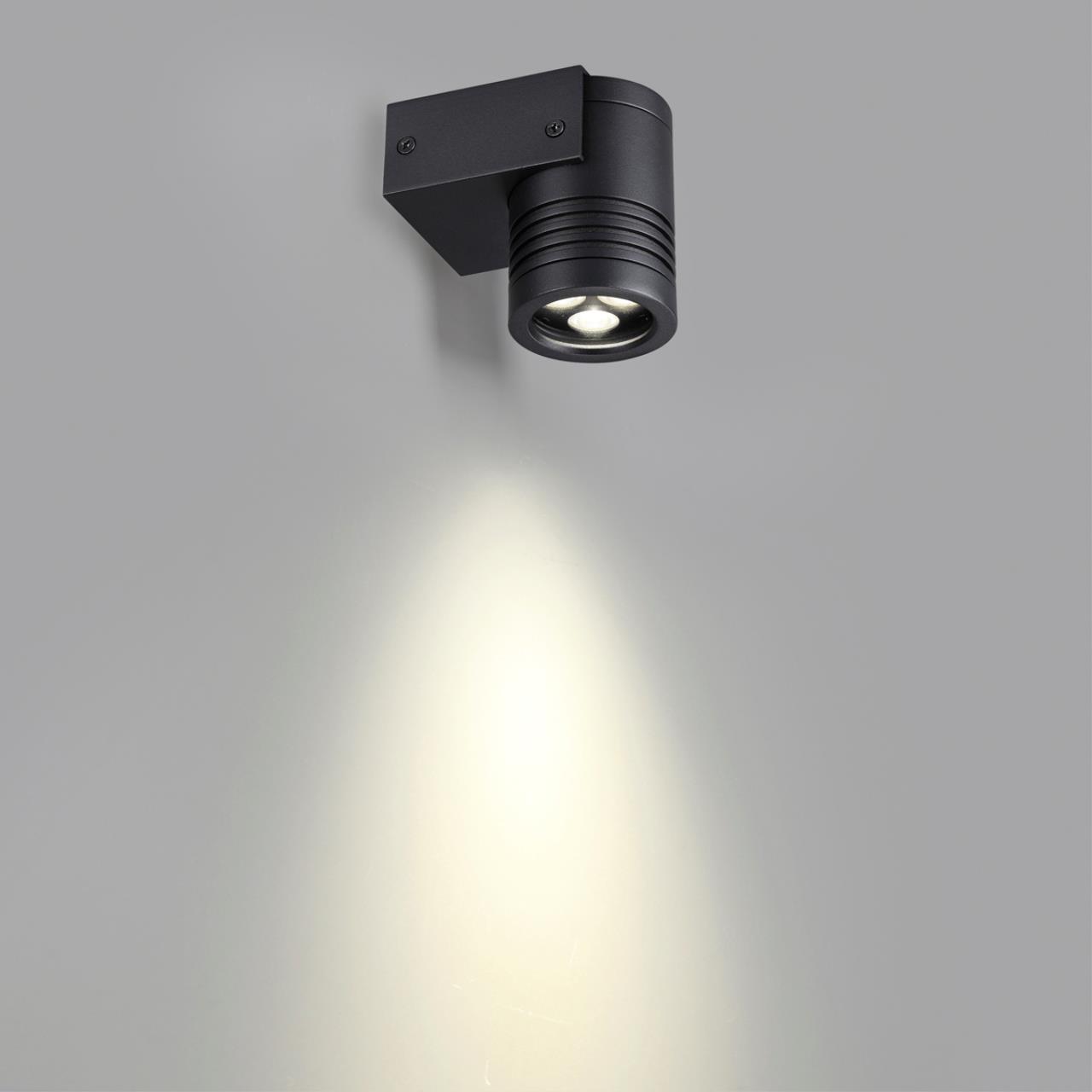картинка 6648/6WL NATURE Odeon Light Фасадный светильник STIMA магазин pro-decor.kz являющийся официальным дистрибьютором в Казахстане картинка 6648/6WL NATURE Odeon Light Фасадный светильник STIMA от магазина pro-decor.kz