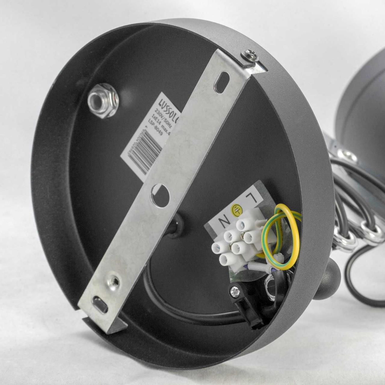 картинка Спот Lussole Loft Koyukuk LSP-8049 от магазина pro-decor.kz