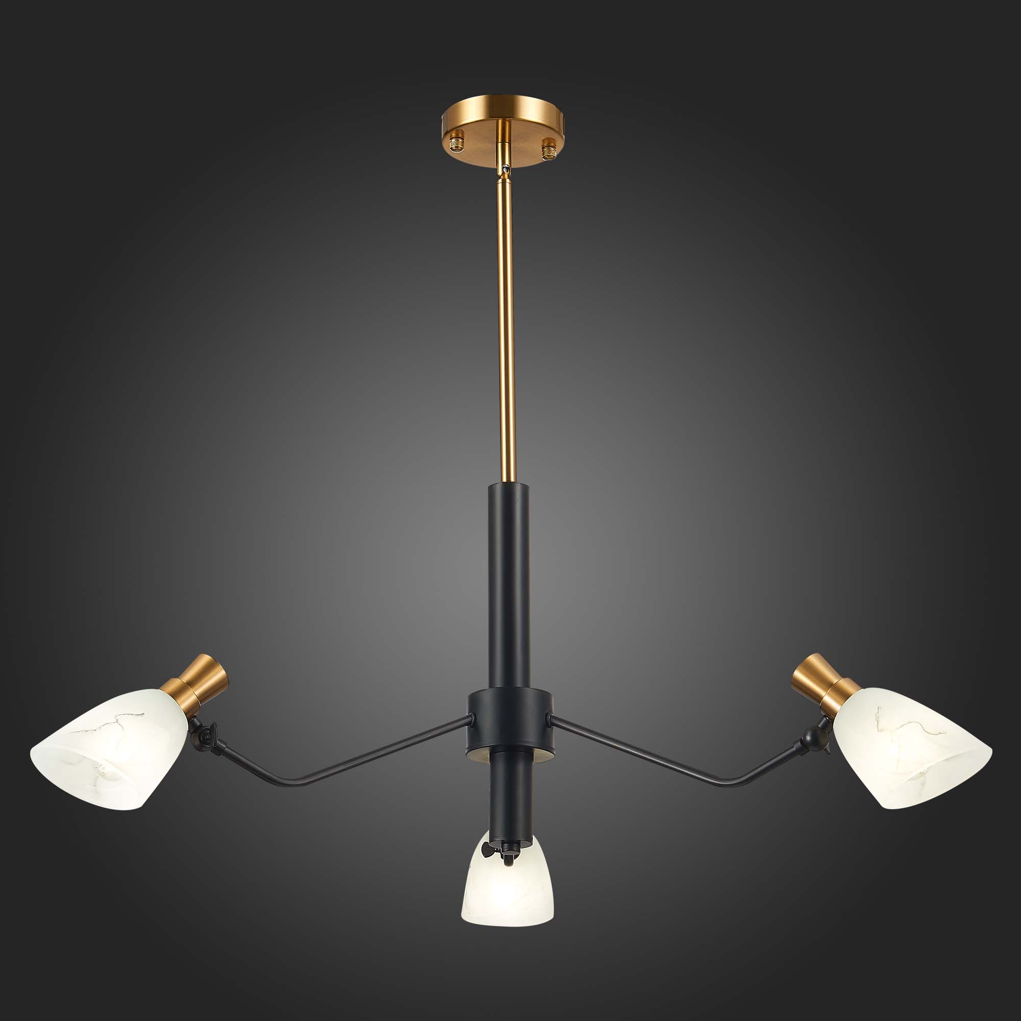 картинка Подвесная люстра Evoluce Lita SLE205403-03 от магазина pro-decor.kz