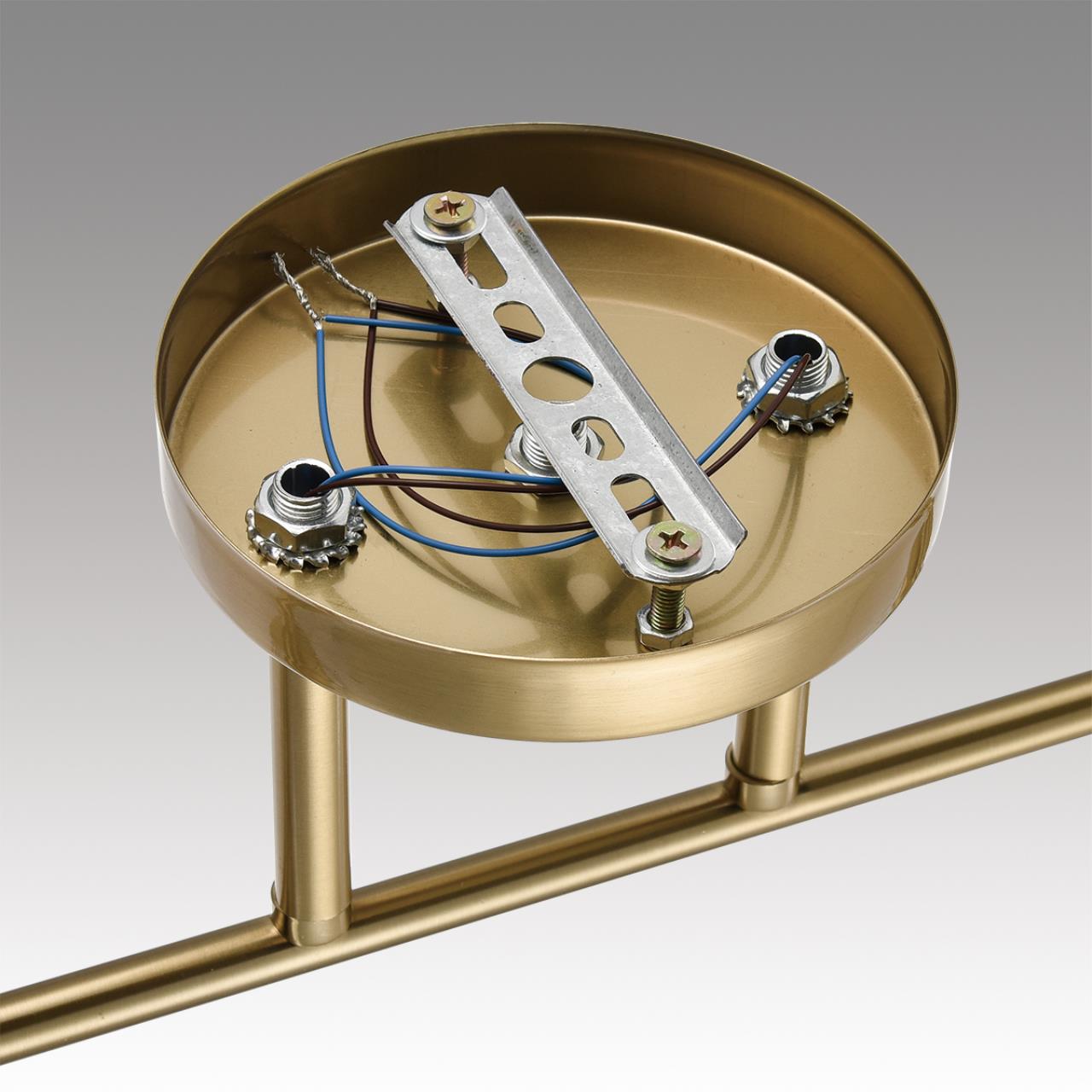 картинка 8188/2C Lumion Потолочный светильник VIVIAN от магазина pro-decor.kz