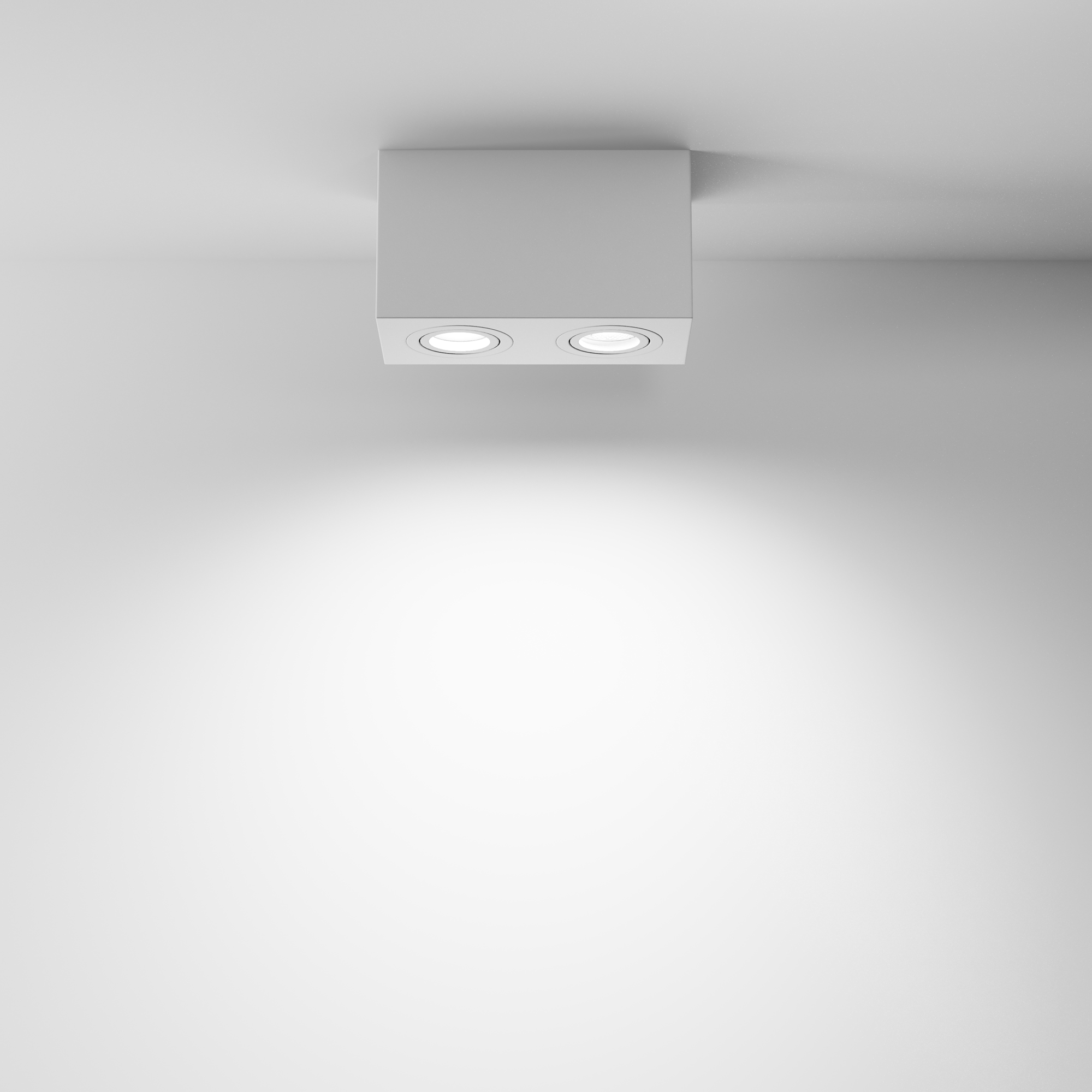 картинка Потолочный светильник Technical C017CL-02W от магазина pro-decor.kz