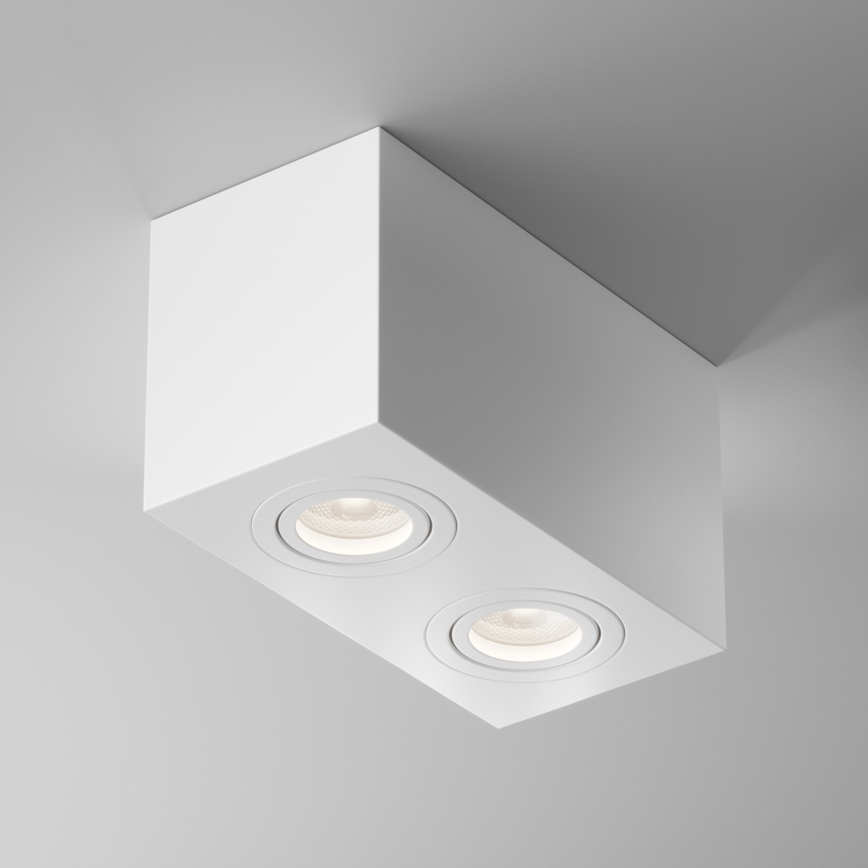 картинка Потолочный светильник Technical C017CL-02W от магазина pro-decor.kz