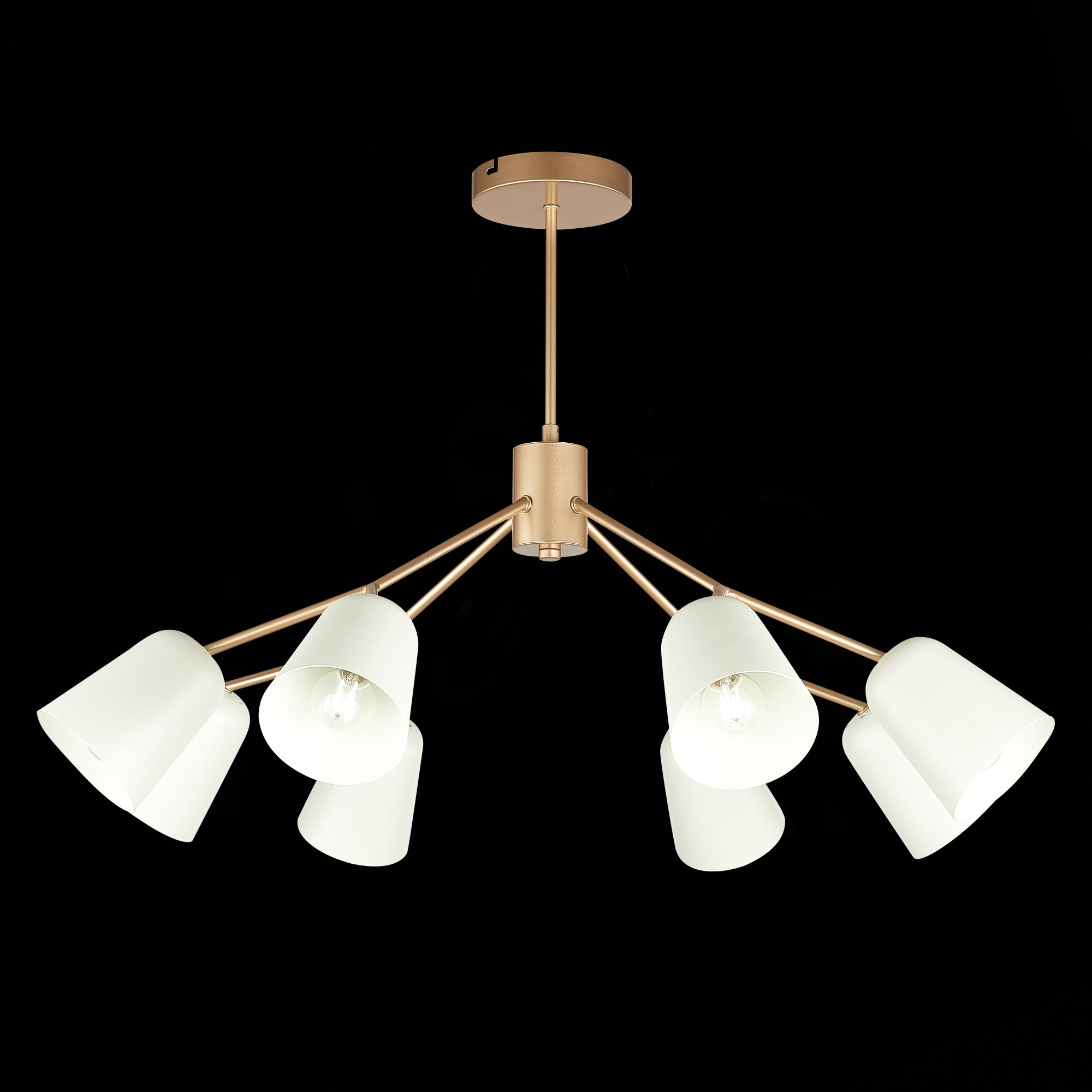 картинка Подвесная люстра Evoluce Mario SLE155902-08 магазин pro-decor.kz являющийся официальным дистрибьютором в Казахстане картинка Подвесная люстра Evoluce Mario SLE155902-08 от магазина pro-decor.kz