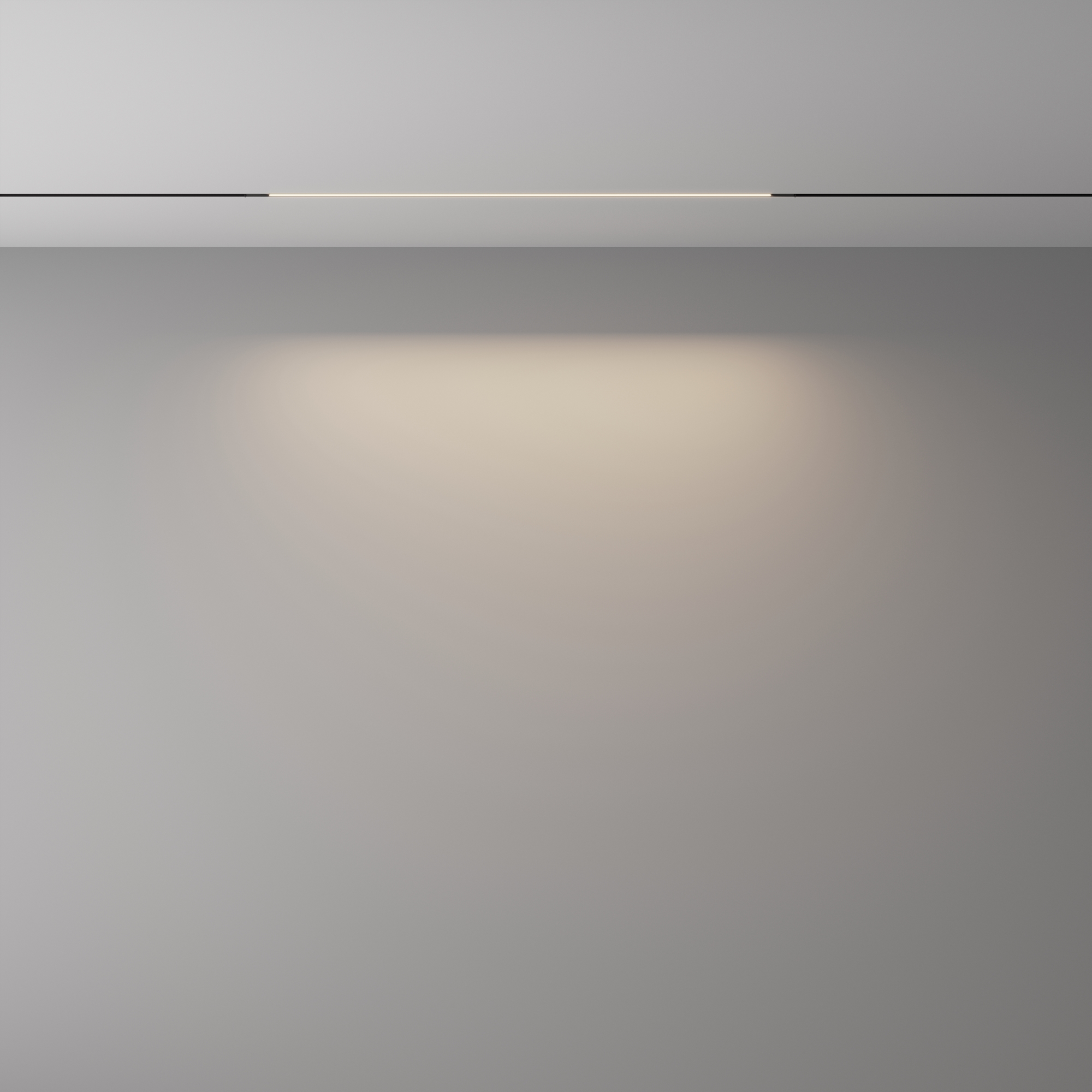 картинка Трековый светильник Technical TR240-2-12W4K-B Basis от магазина pro-decor.kz