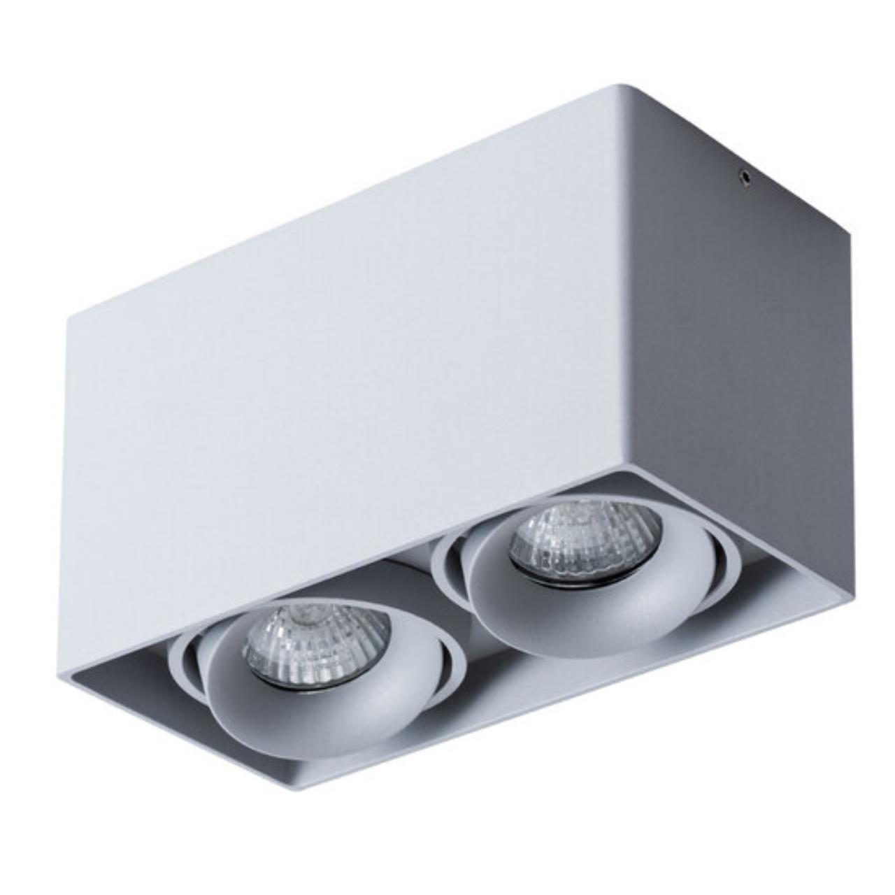 картинка Потолочный светильник Arte Lamp Pictor A5654PL-2GY магазин pro-decor.kz являющийся официальным дистрибьютором в Казахстане картинка Потолочный светильник Arte Lamp Pictor A5654PL-2GY от магазина pro-decor.kz