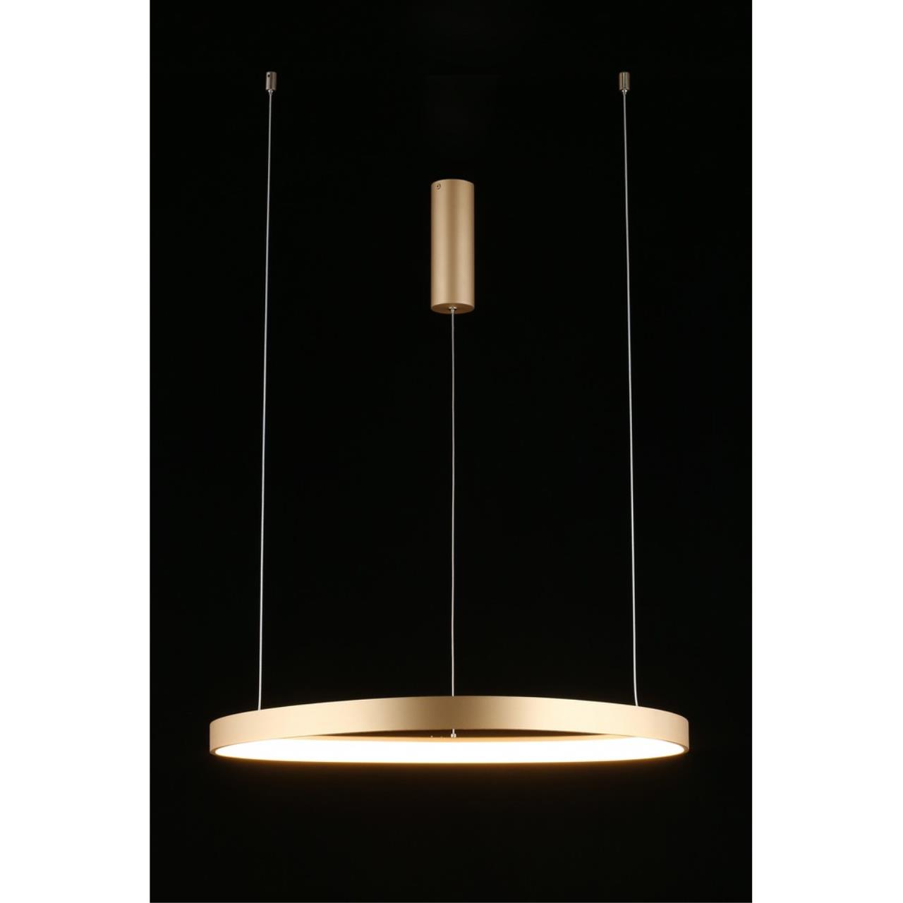 картинка Подвесной светильник Aployt Zula APL.022.03.48 от магазина pro-decor.kz