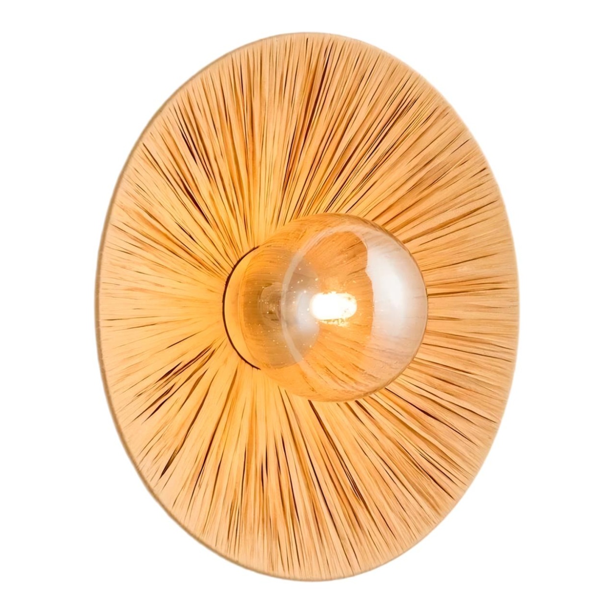 картинка Настенный светильник Lussole SUNFLOWER LSP-5009 от магазина pro-decor.kz