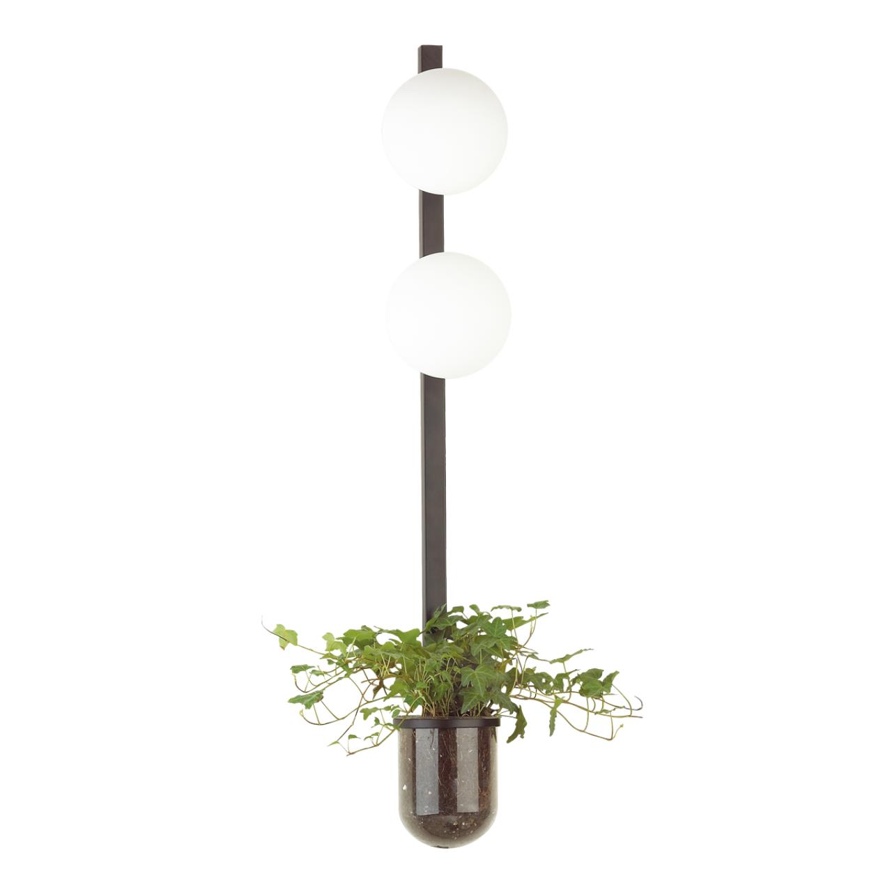 картинка Настенный светильник Odeon Light Walli Flower 4681/2WA от магазина pro-decor.kz