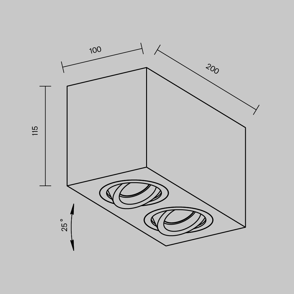 картинка Потолочный светильник Technical C017CL-02B магазин pro-decor.kz являющийся официальным дистрибьютором в Казахстане картинка Потолочный светильник Technical C017CL-02B от магазина pro-decor.kz
