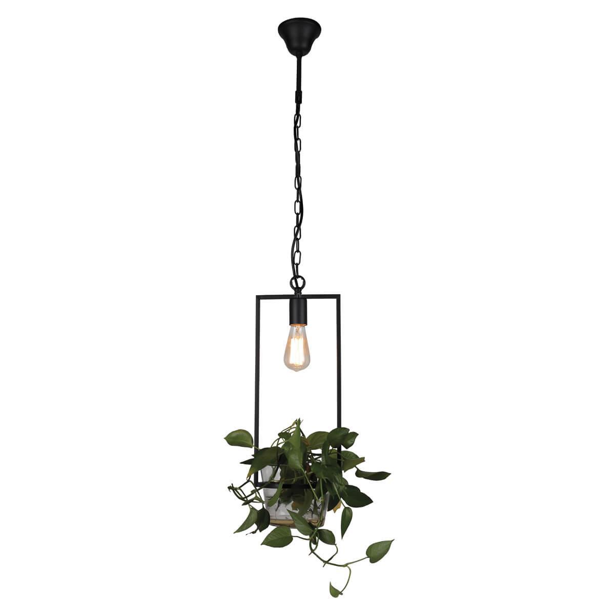 картинка Подвесной светильник Favourite Situla 1975-1P от магазина pro-decor.kz