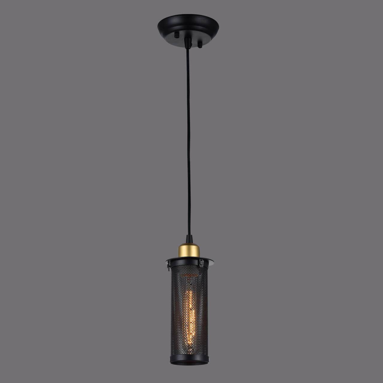 картинка Подвесной светильник Favourite Strainer 1788-1P от магазина pro-decor.kz