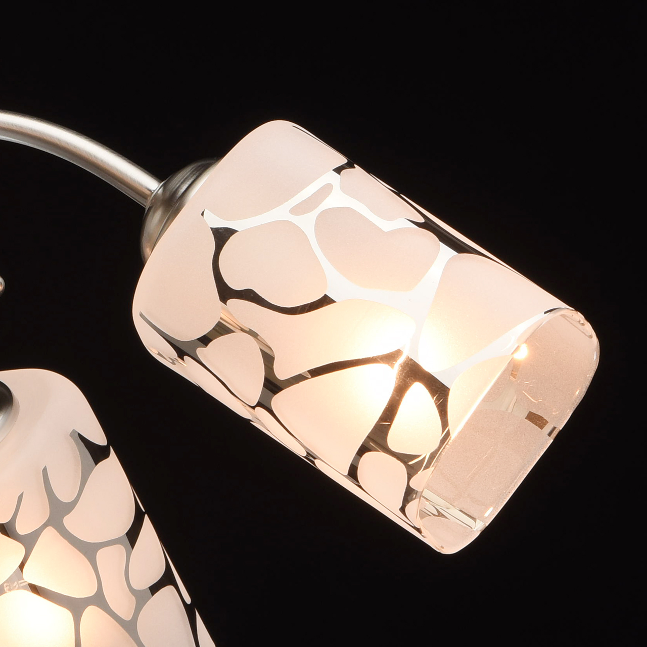 картинка Потолочная люстра MW-Light Олимпия 261019505 от магазина pro-decor.kz