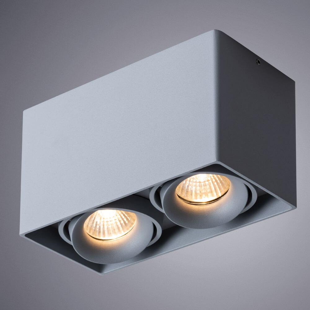 картинка Потолочный светильник Arte Lamp Pictor A5654PL-2GY магазин pro-decor.kz являющийся официальным дистрибьютором в Казахстане картинка Потолочный светильник Arte Lamp Pictor A5654PL-2GY от магазина pro-decor.kz