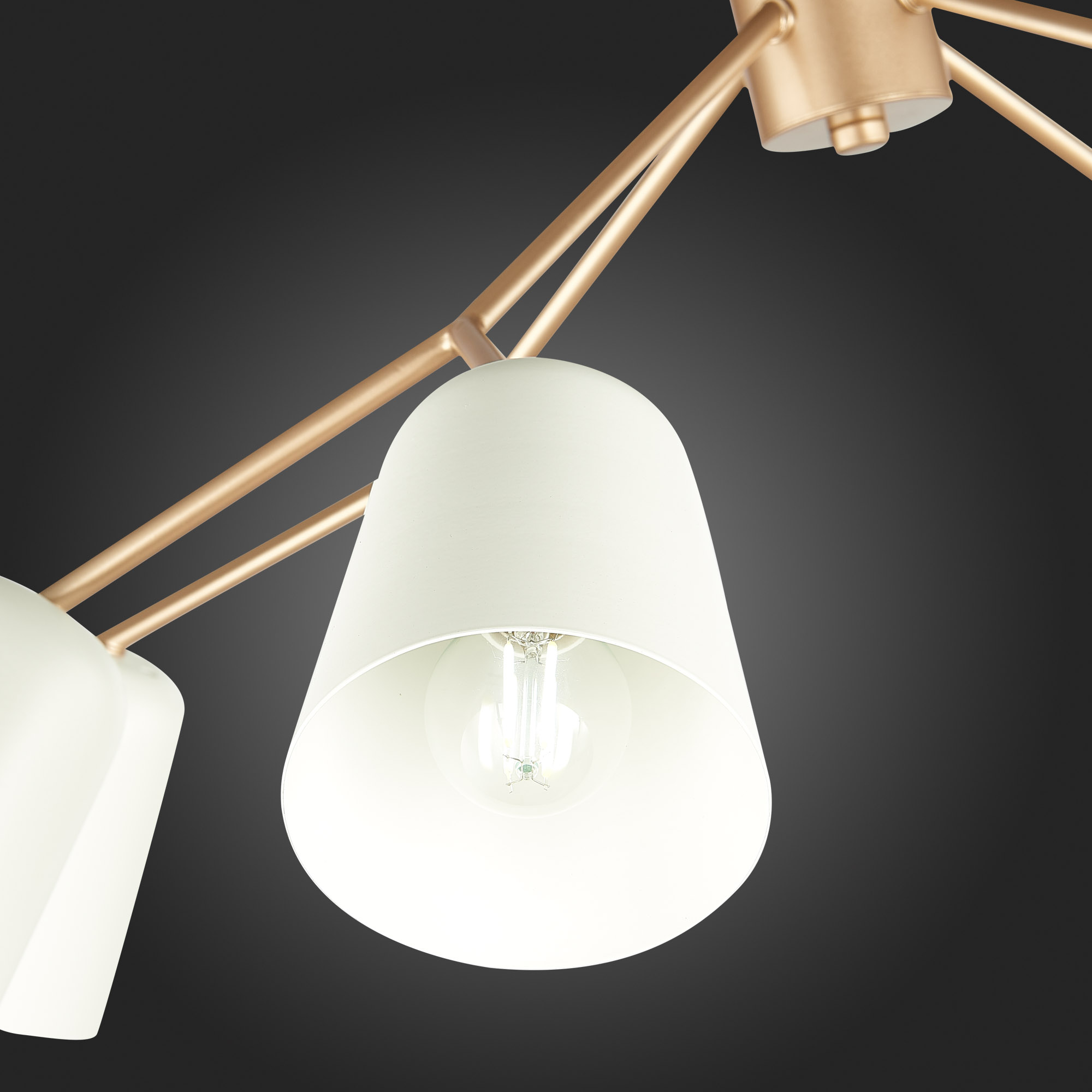 картинка Подвесная люстра Evoluce Mario SLE155902-08 магазин pro-decor.kz являющийся официальным дистрибьютором в Казахстане картинка Подвесная люстра Evoluce Mario SLE155902-08 от магазина pro-decor.kz