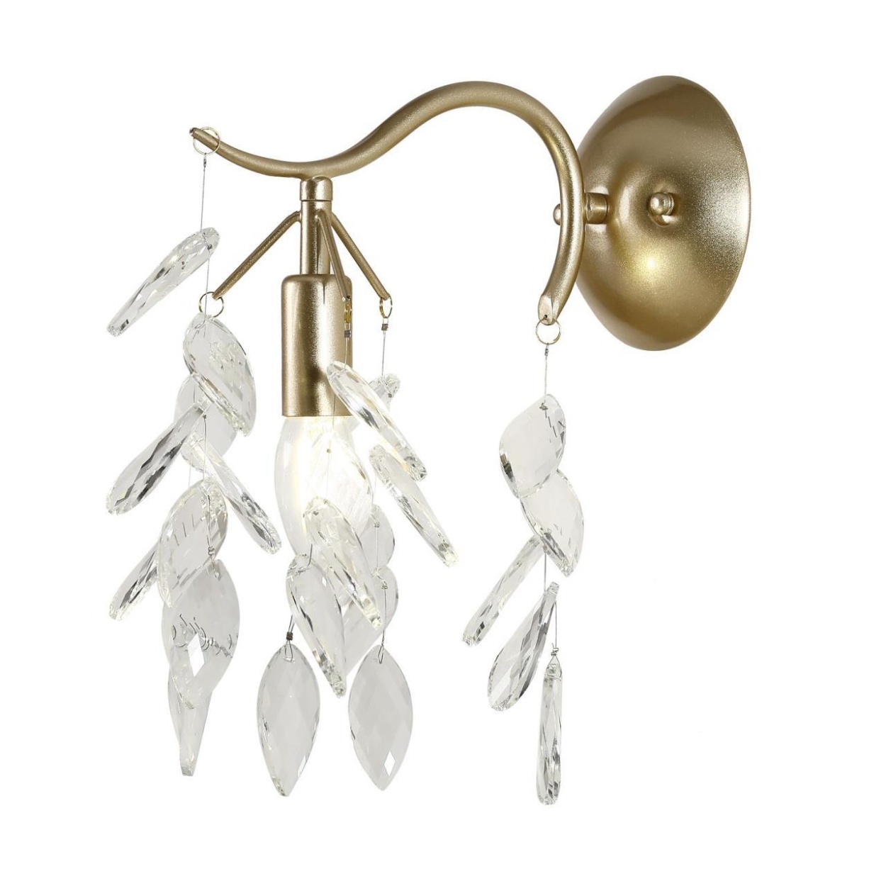 картинка Настенный светильник Brillo 3003-1W магазин pro-decor.kz являющийся официальным дистрибьютором в Казахстане картинка Настенный светильник Brillo 3003-1W от магазина pro-decor.kz