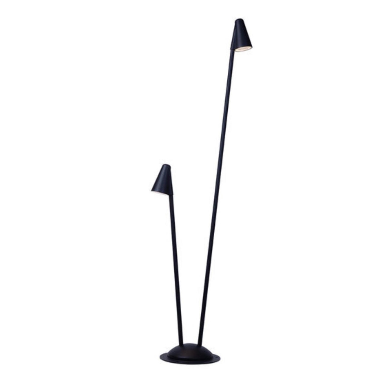 картинка Ландшафтный светильник Arte Lamp MUPHRID A4109PA-2BK от магазина pro-decor.kz
