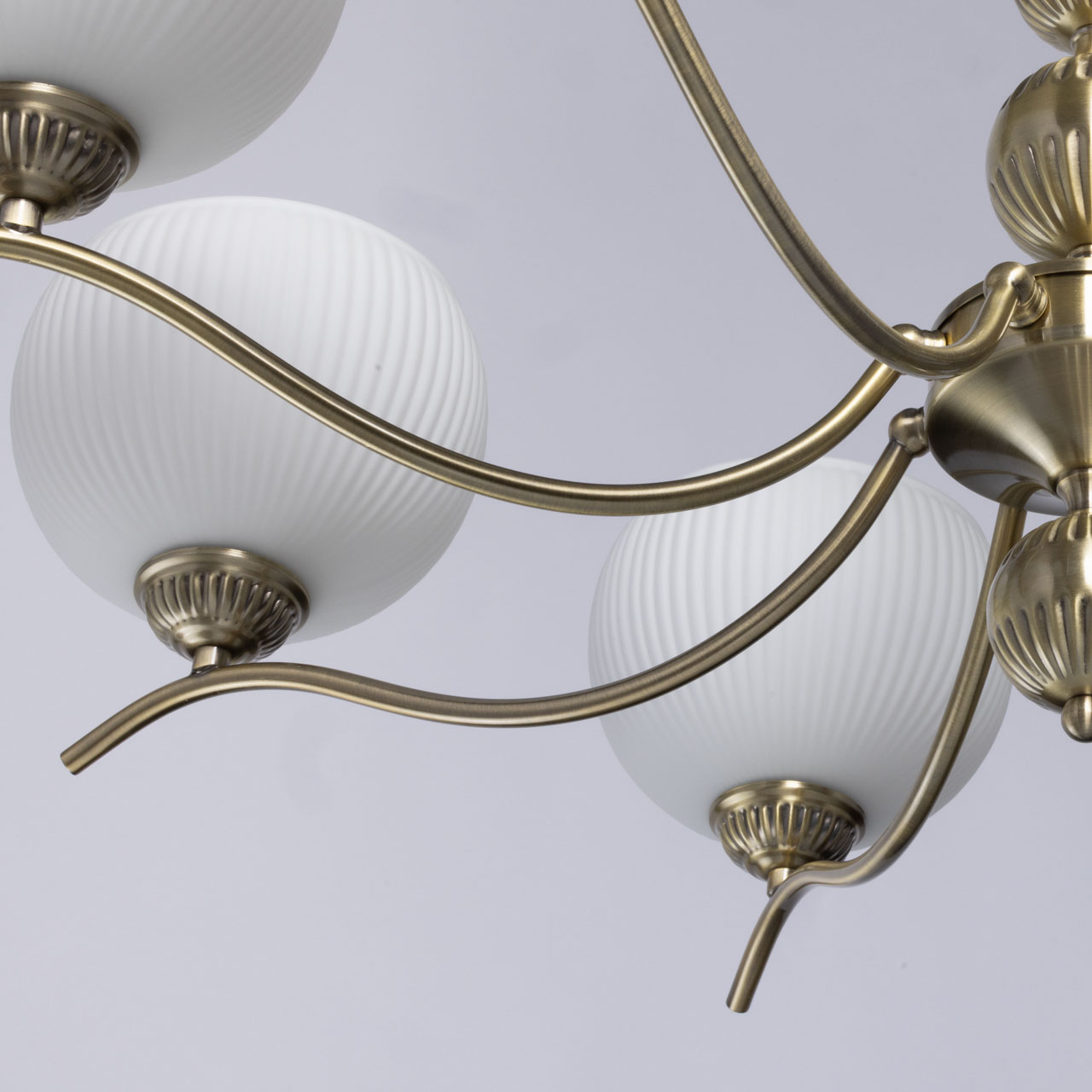 картинка 347019808 MW-light Фелиция Люстра магазин pro-decor.kz являющийся официальным дистрибьютором в Казахстане картинка 347019808 MW-light Фелиция Люстра от магазина pro-decor.kz