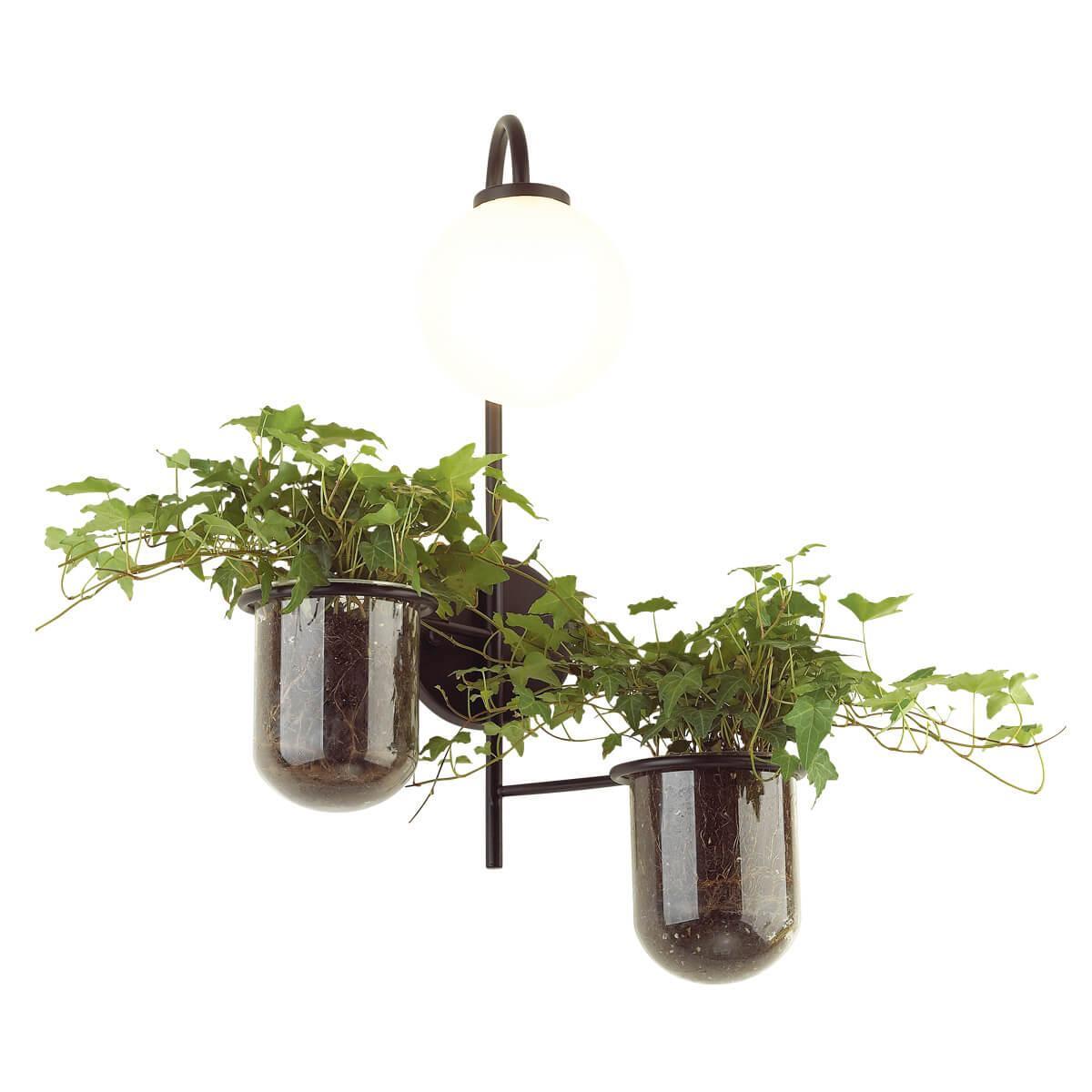 картинка Настенный светильник Odeon Light Flower 4681/1W от магазина pro-decor.kz