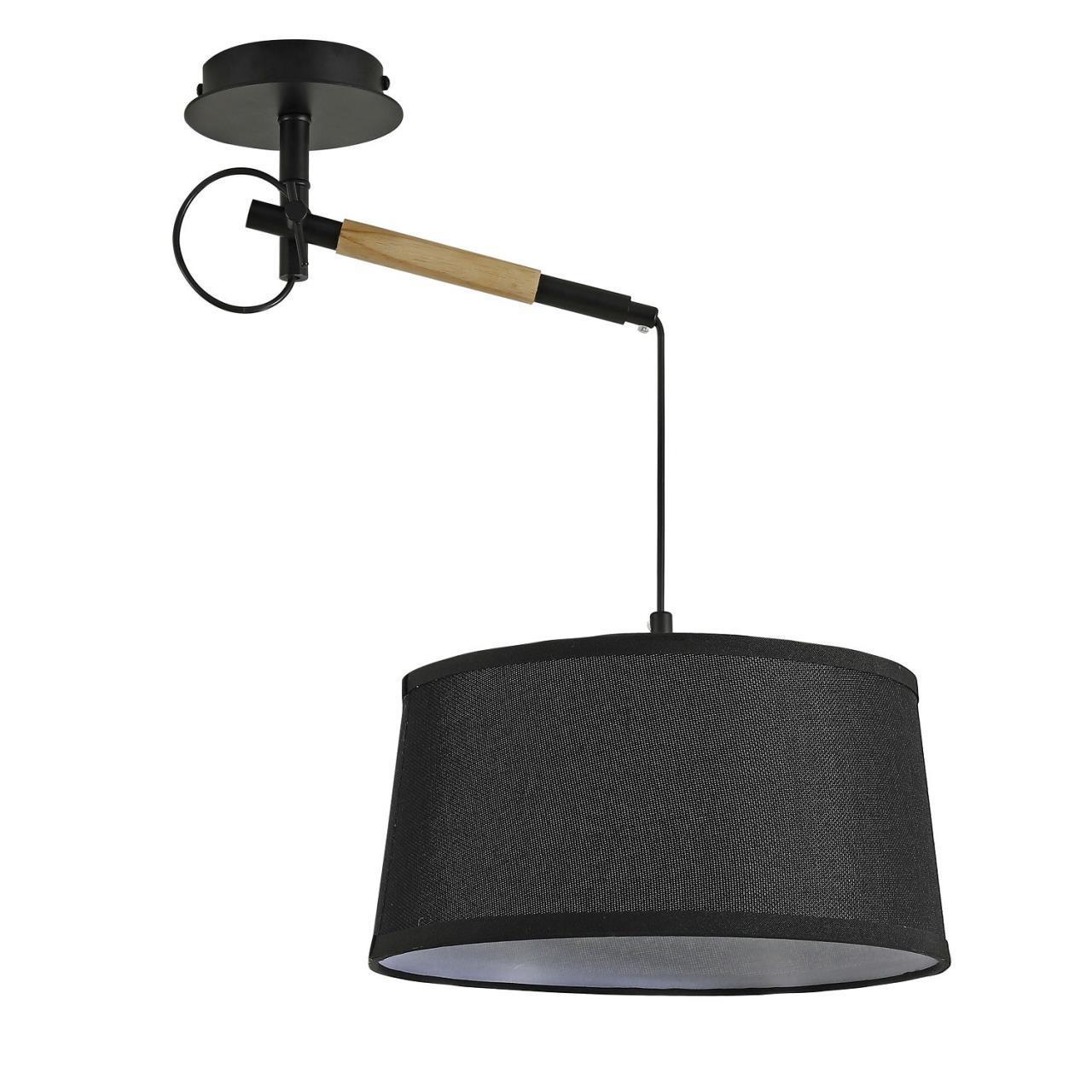 картинка Настенно-потолочный светильник Eureka 3006-1P магазин pro-decor.kz являющийся официальным дистрибьютором в Казахстане картинка Настенно-потолочный светильник Eureka 3006-1P от магазина pro-decor.kz