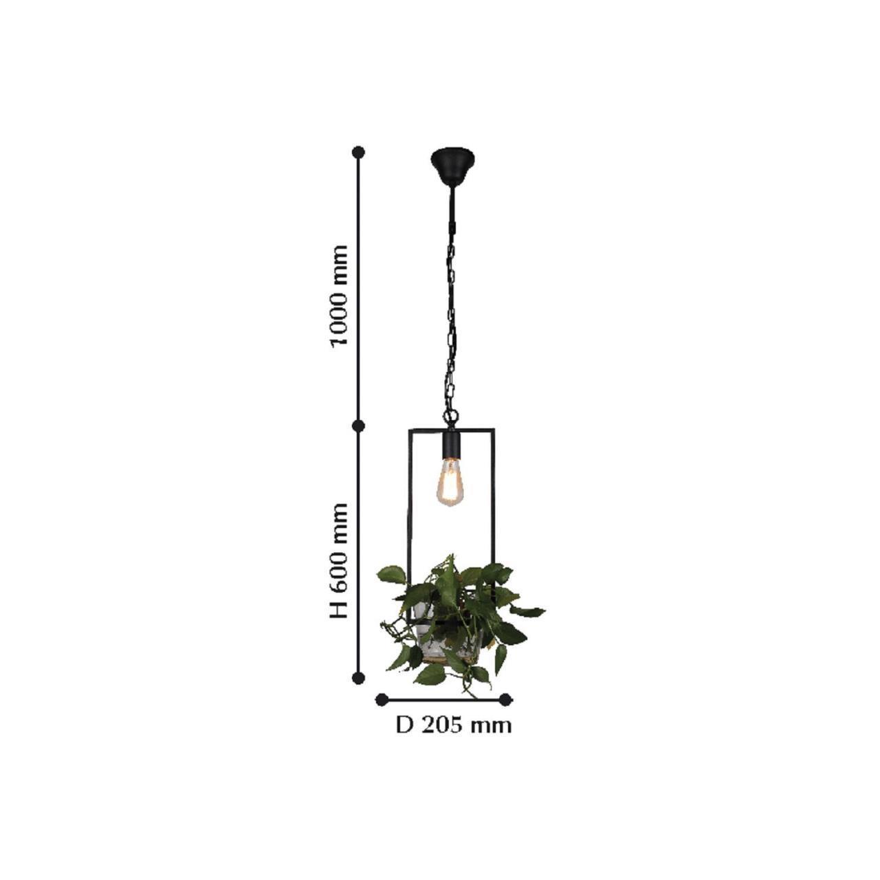 картинка Подвесной светильник Favourite Situla 1975-1P от магазина pro-decor.kz