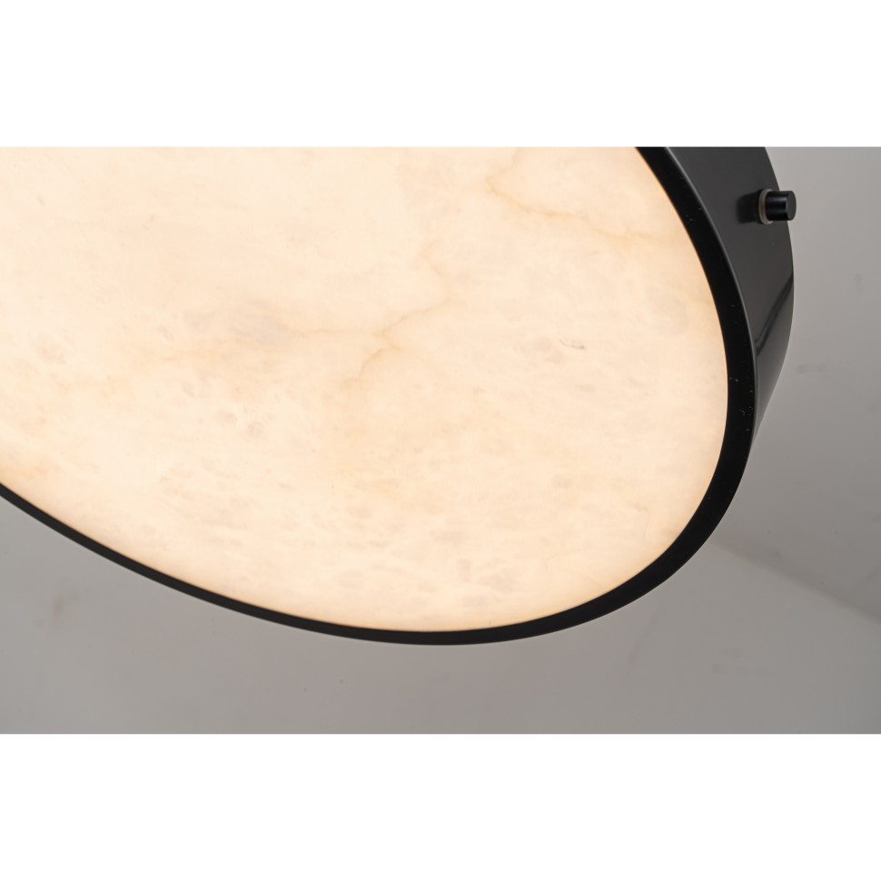 картинка Потолочный светильник Belfast Devon 3395-4 BL MB  от магазина pro-decor.kz