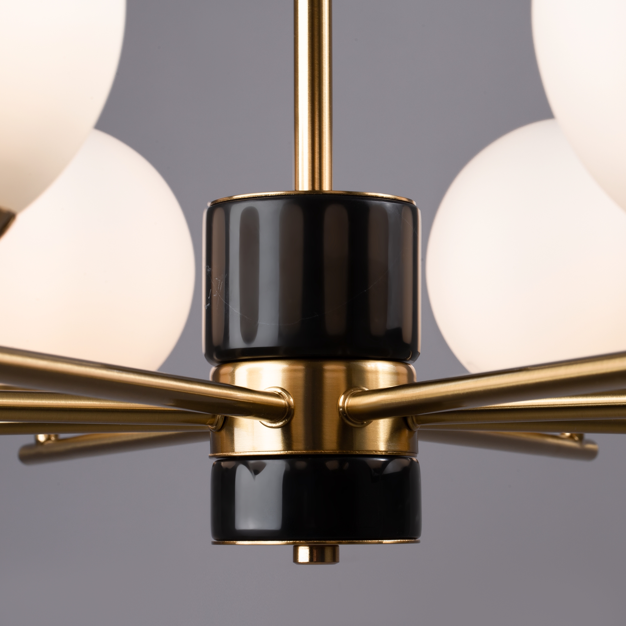 картинка Подвесная люстра Freya FR5230PL-08BS магазин pro-decor.kz являющийся официальным дистрибьютором в Казахстане картинка Подвесная люстра Freya FR5230PL-08BS от магазина pro-decor.kz