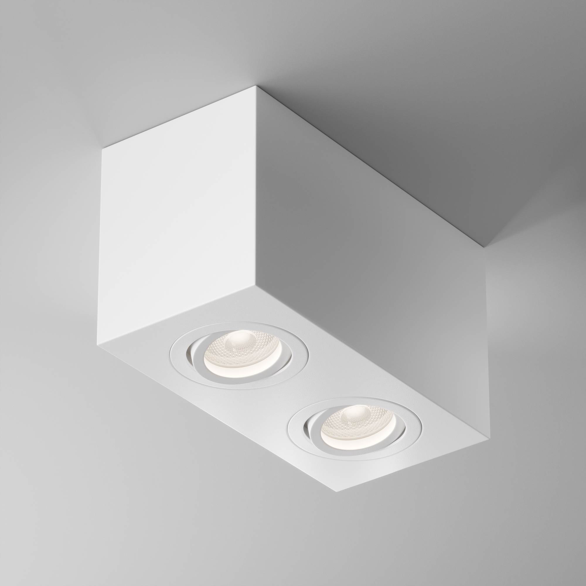картинка Потолочный светильник Technical C017CL-02W от магазина pro-decor.kz