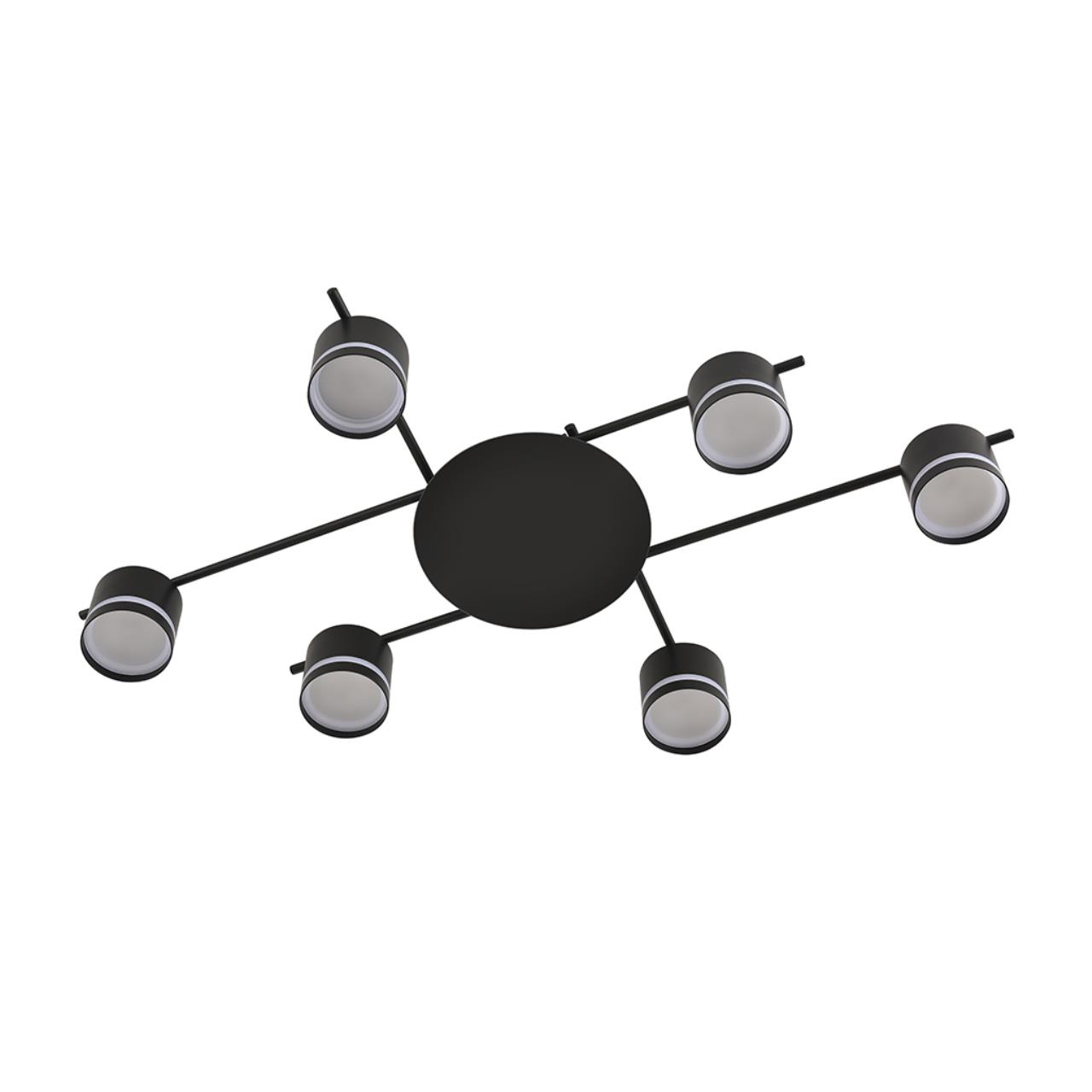 картинка 8362/6C Lumion Светильник потолочный BERTY от магазина pro-decor.kz