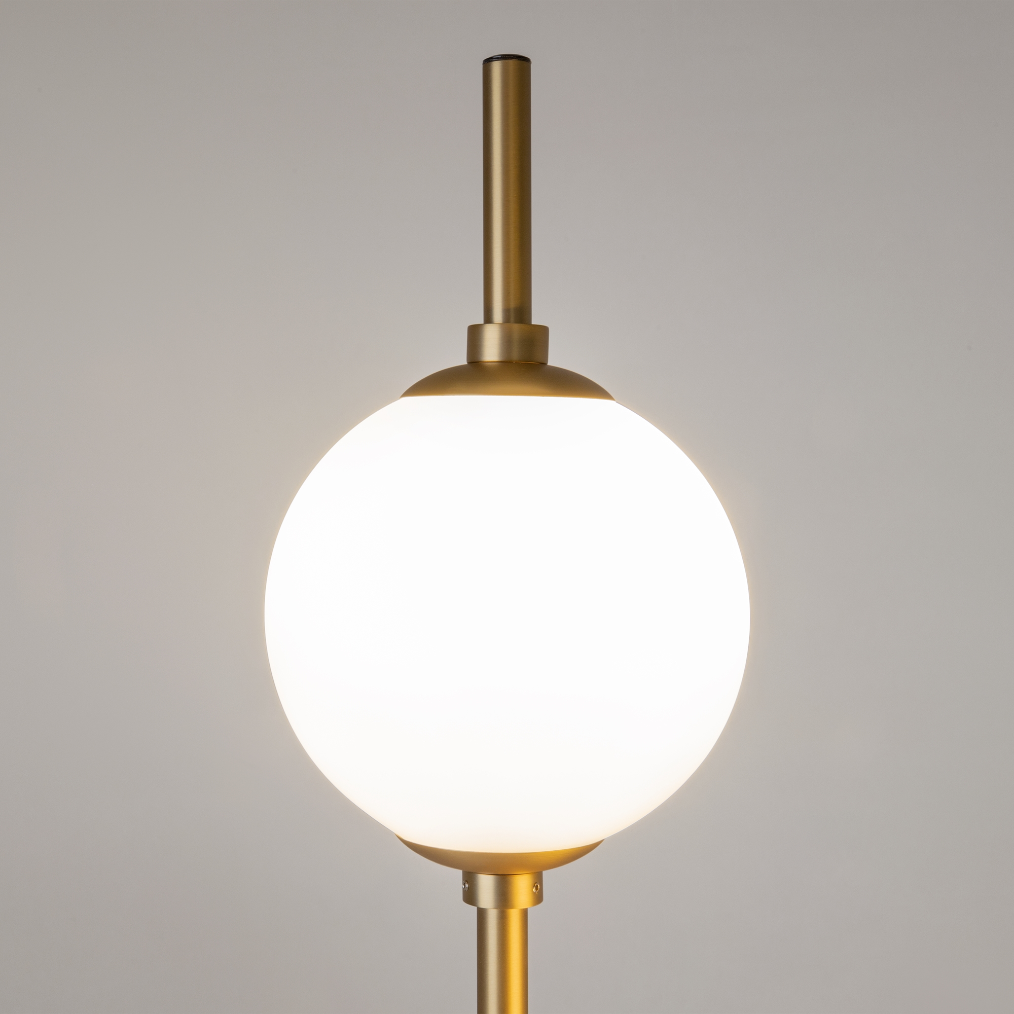картинка Напольный светильник (торшер) Maytoni Z020FL-L12BS3K магазин pro-decor.kz являющийся официальным дистрибьютором в Казахстане картинка Напольный светильник (торшер) Maytoni Z020FL-L12BS3K от магазина pro-decor.kz