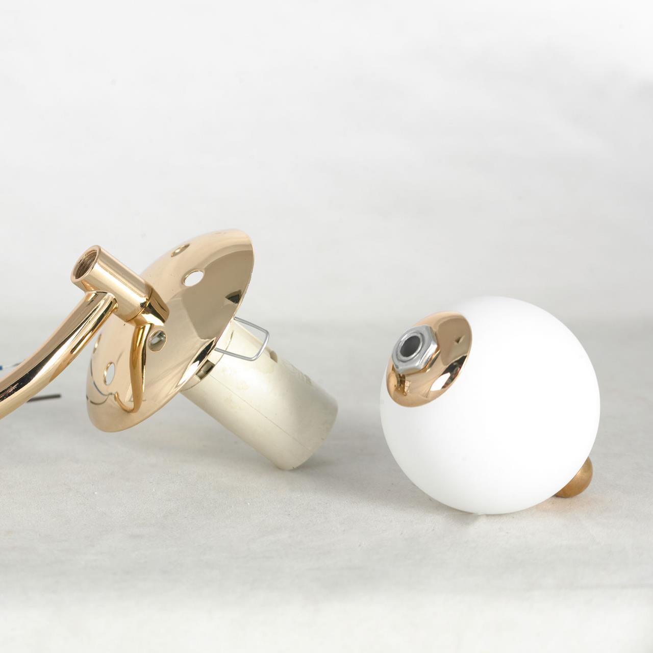 картинка Люстра Lussole LSP-8723 магазин pro-decor.kz являющийся официальным дистрибьютором в Казахстане картинка Люстра Lussole LSP-8723 от магазина pro-decor.kz