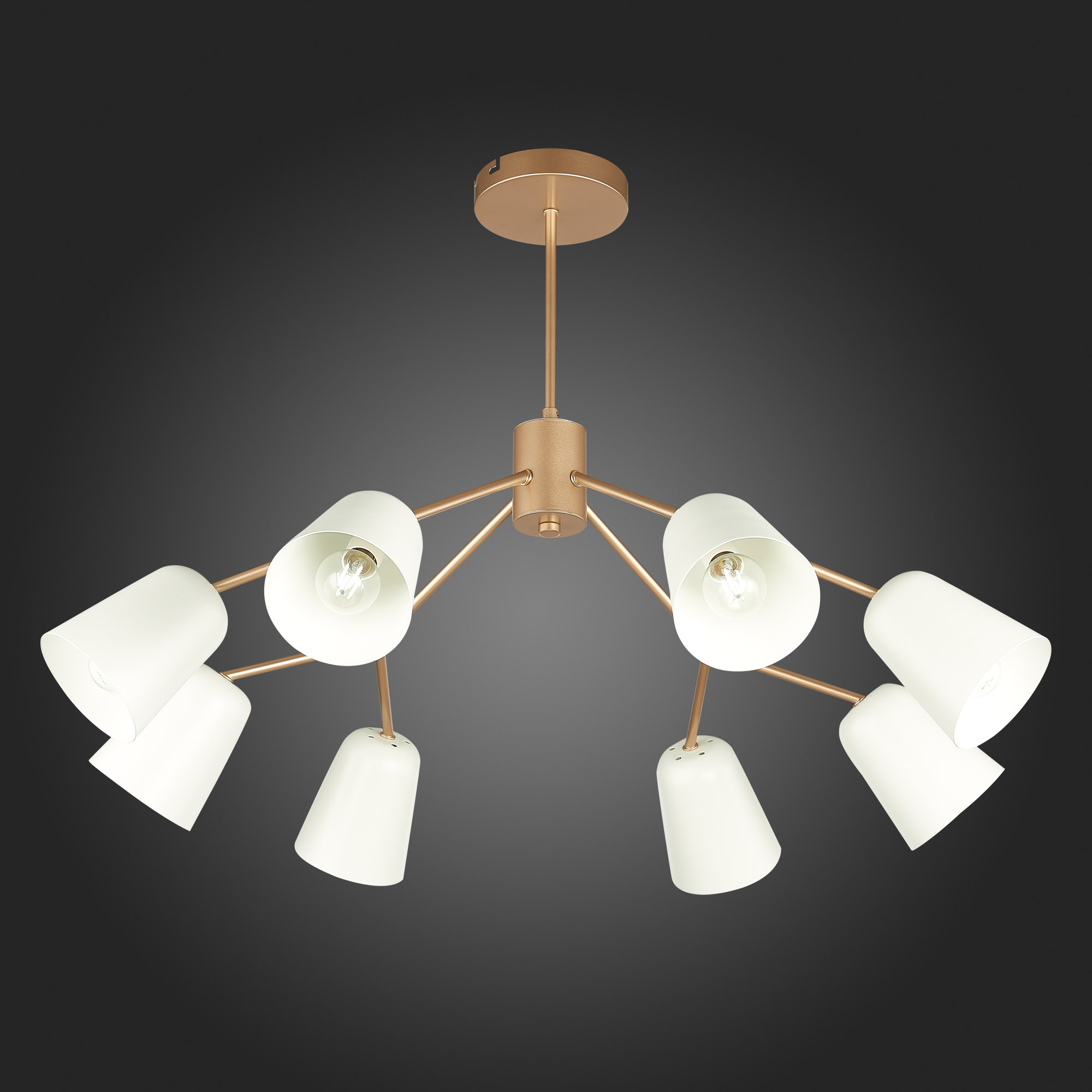 картинка Подвесная люстра Evoluce Mario SLE155902-08 магазин pro-decor.kz являющийся официальным дистрибьютором в Казахстане картинка Подвесная люстра Evoluce Mario SLE155902-08 от магазина pro-decor.kz