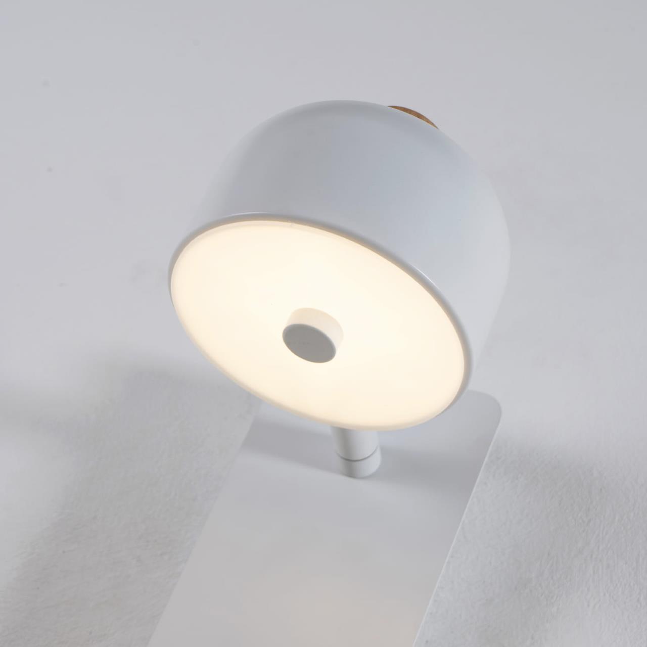 картинка Светодиодный спот Favourite Mauris 2834-1W магазин pro-decor.kz являющийся официальным дистрибьютором в Казахстане картинка Светодиодный спот Favourite Mauris 2834-1W от магазина pro-decor.kz