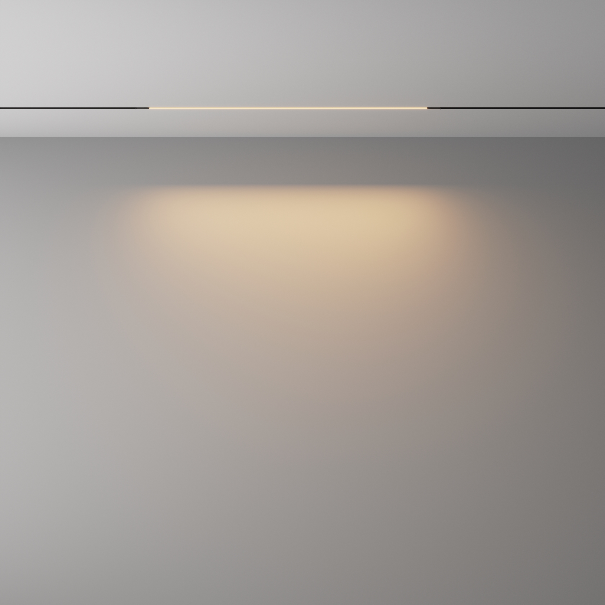 картинка Трековый светильник Technical TR240-2-12W3K-B Basis от магазина pro-decor.kz