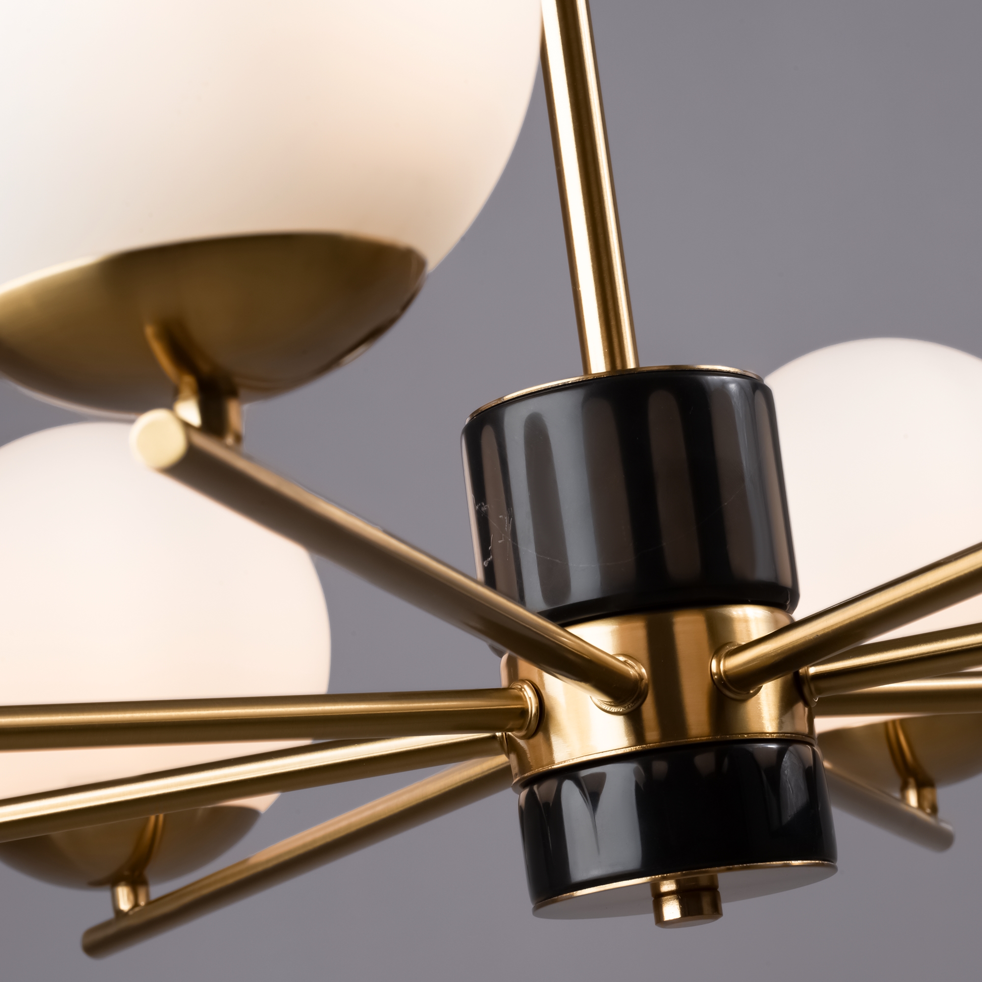 картинка Подвесная люстра Freya FR5230PL-08BS магазин pro-decor.kz являющийся официальным дистрибьютором в Казахстане картинка Подвесная люстра Freya FR5230PL-08BS от магазина pro-decor.kz