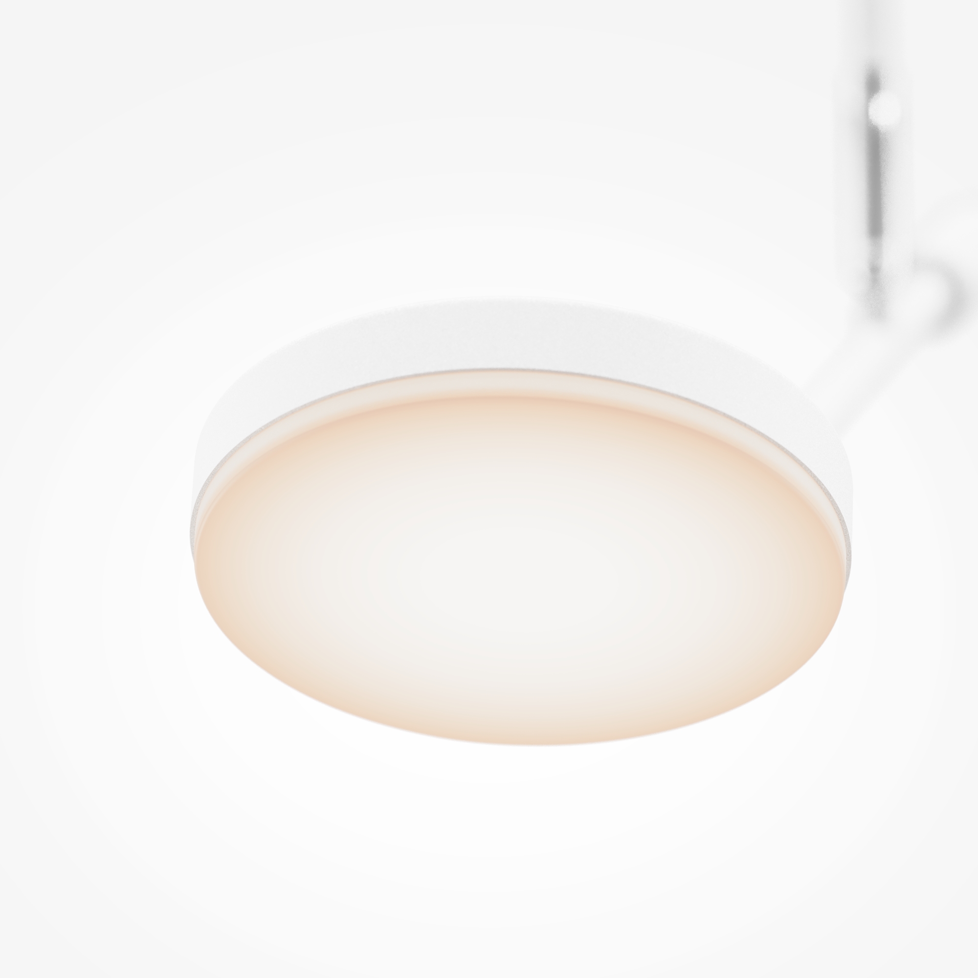 картинка Подвесной светильник Maytoni MOD070CL-L8W3K от магазина pro-decor.kz