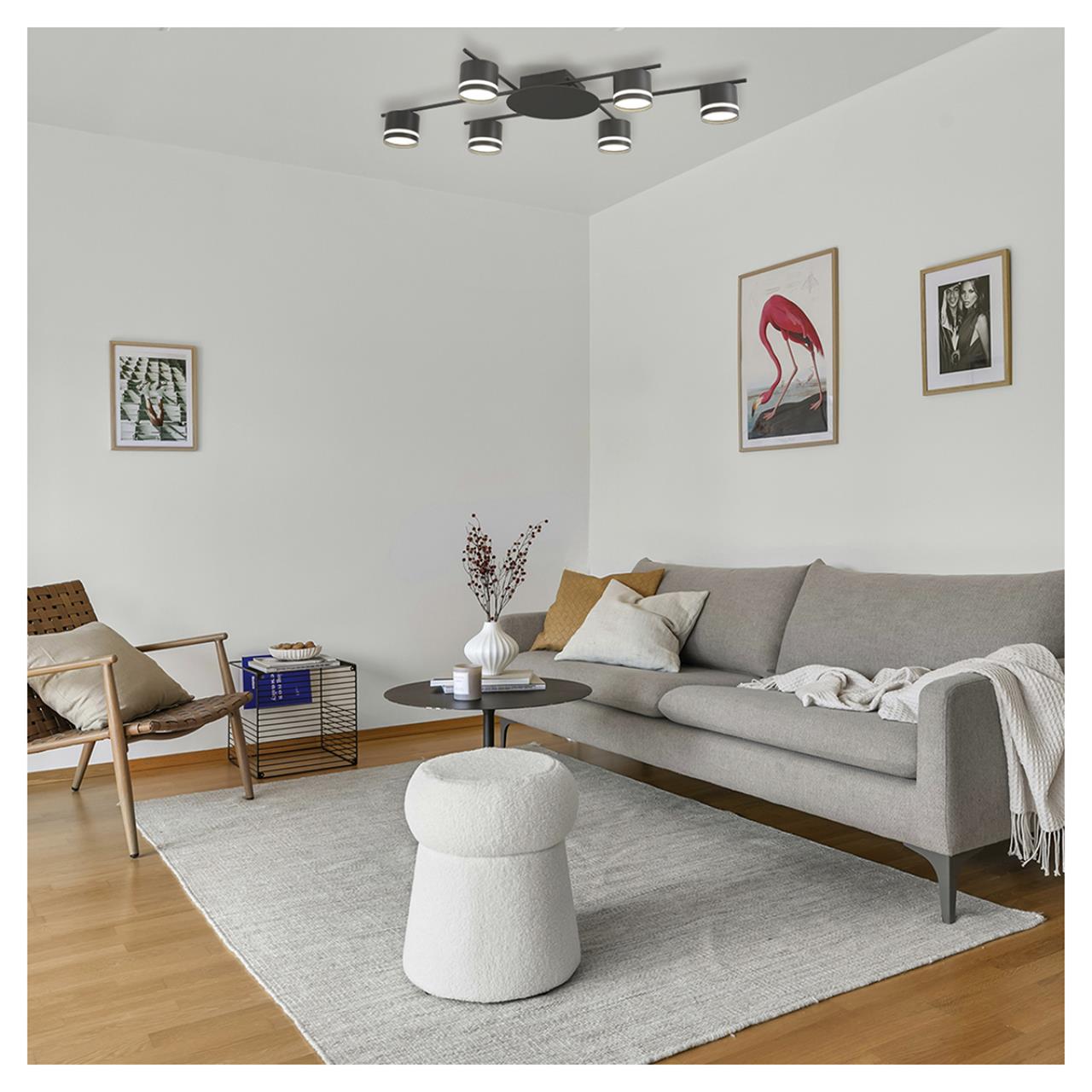 картинка 8362/6C Lumion Светильник потолочный BERTY от магазина pro-decor.kz