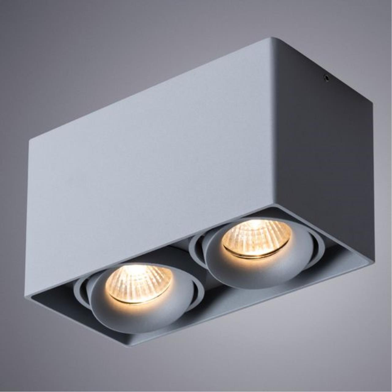 картинка Потолочный светильник Arte Lamp Pictor A5654PL-2GY магазин pro-decor.kz являющийся официальным дистрибьютором в Казахстане картинка Потолочный светильник Arte Lamp Pictor A5654PL-2GY от магазина pro-decor.kz