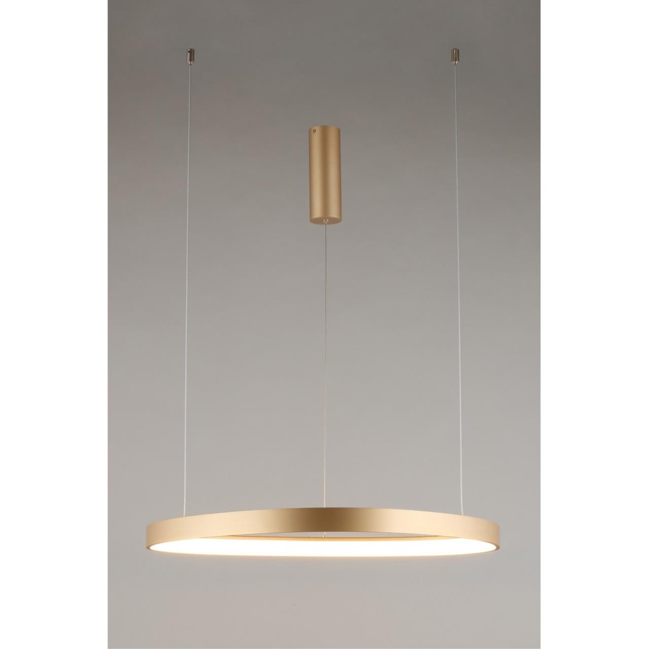 картинка Подвесной светильник Aployt Zula APL.022.03.48 от магазина pro-decor.kz