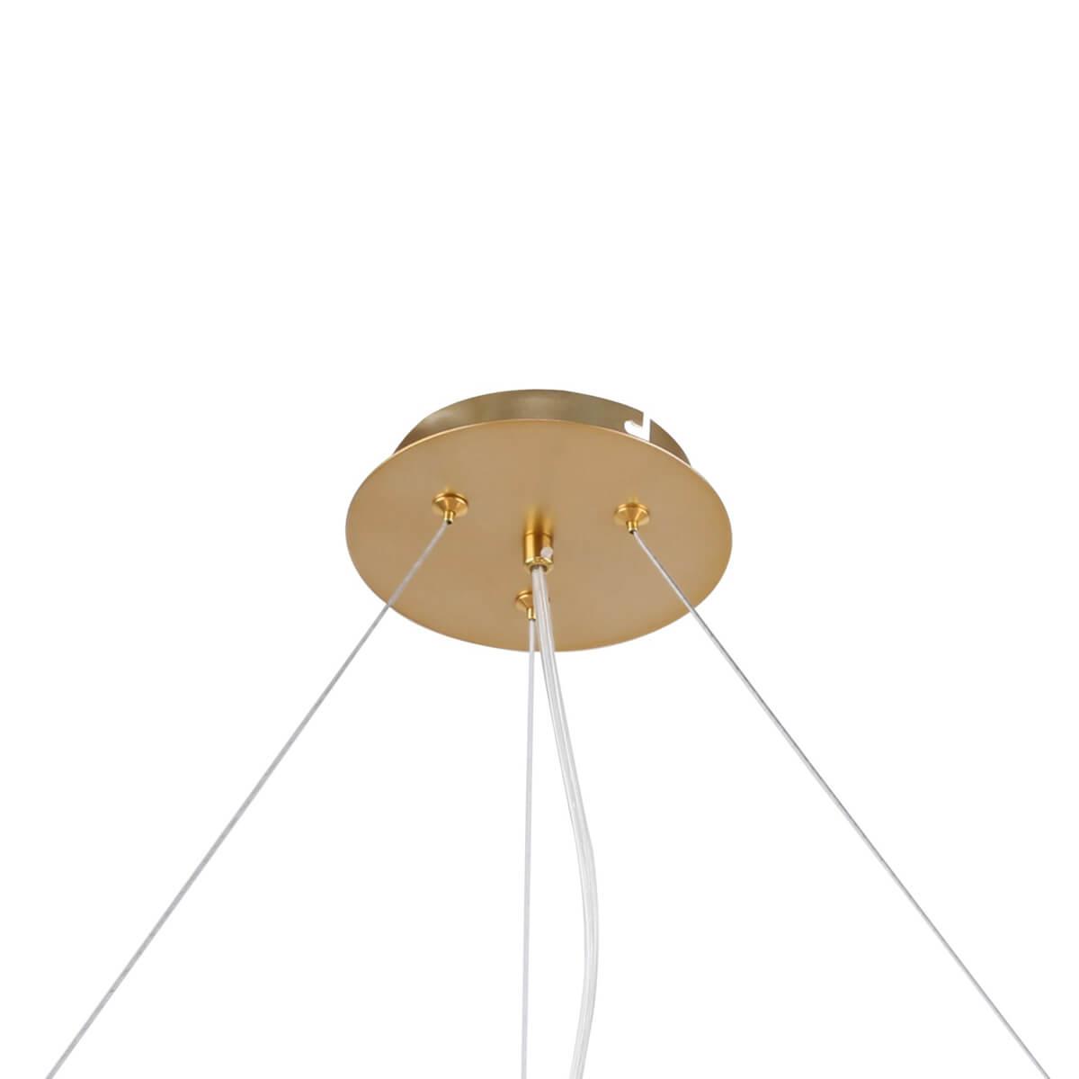 картинка Подвесная люстра F-Promo Bliss 2771-12P от магазина pro-decor.kz