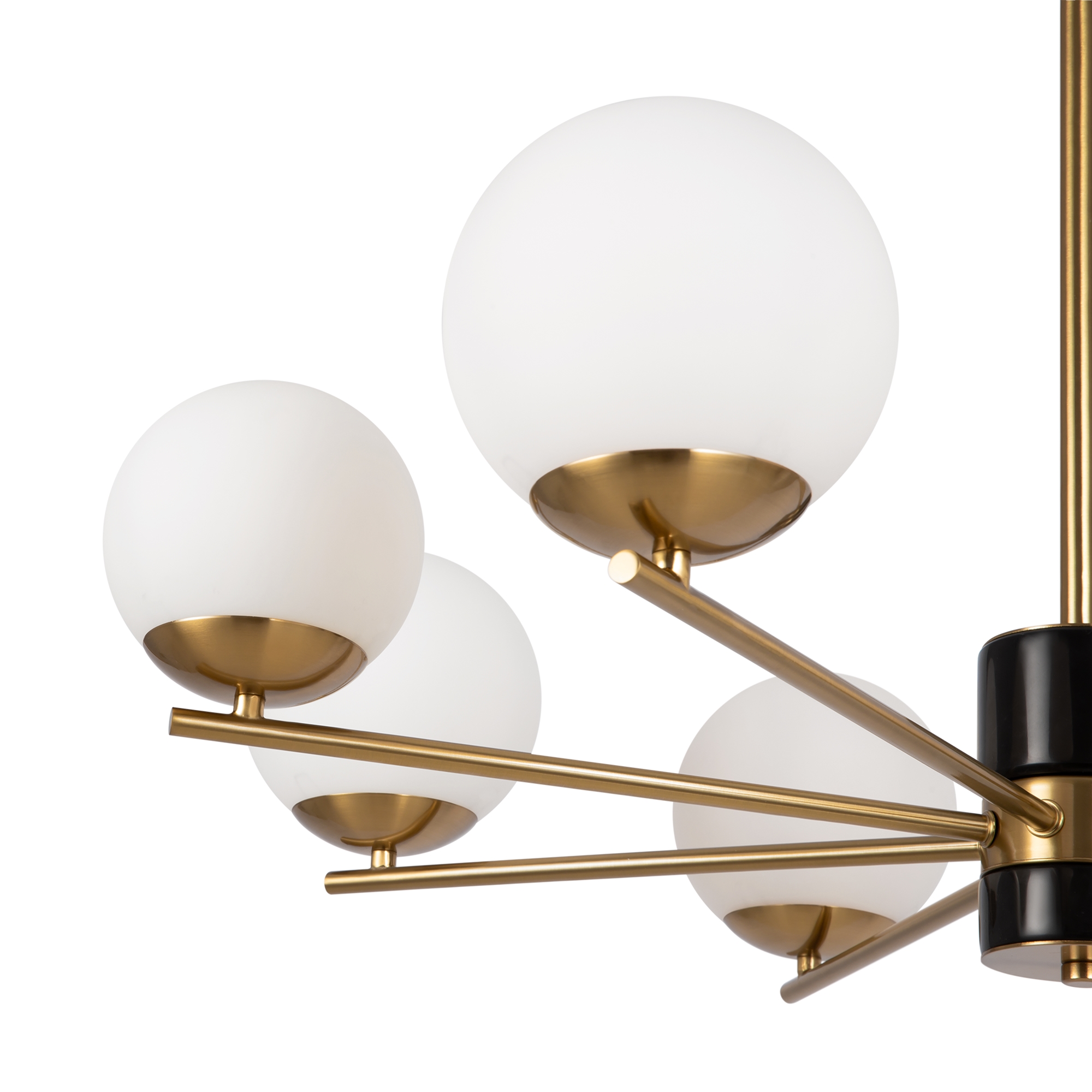 картинка Подвесная люстра Freya FR5230PL-08BS магазин pro-decor.kz являющийся официальным дистрибьютором в Казахстане картинка Подвесная люстра Freya FR5230PL-08BS от магазина pro-decor.kz