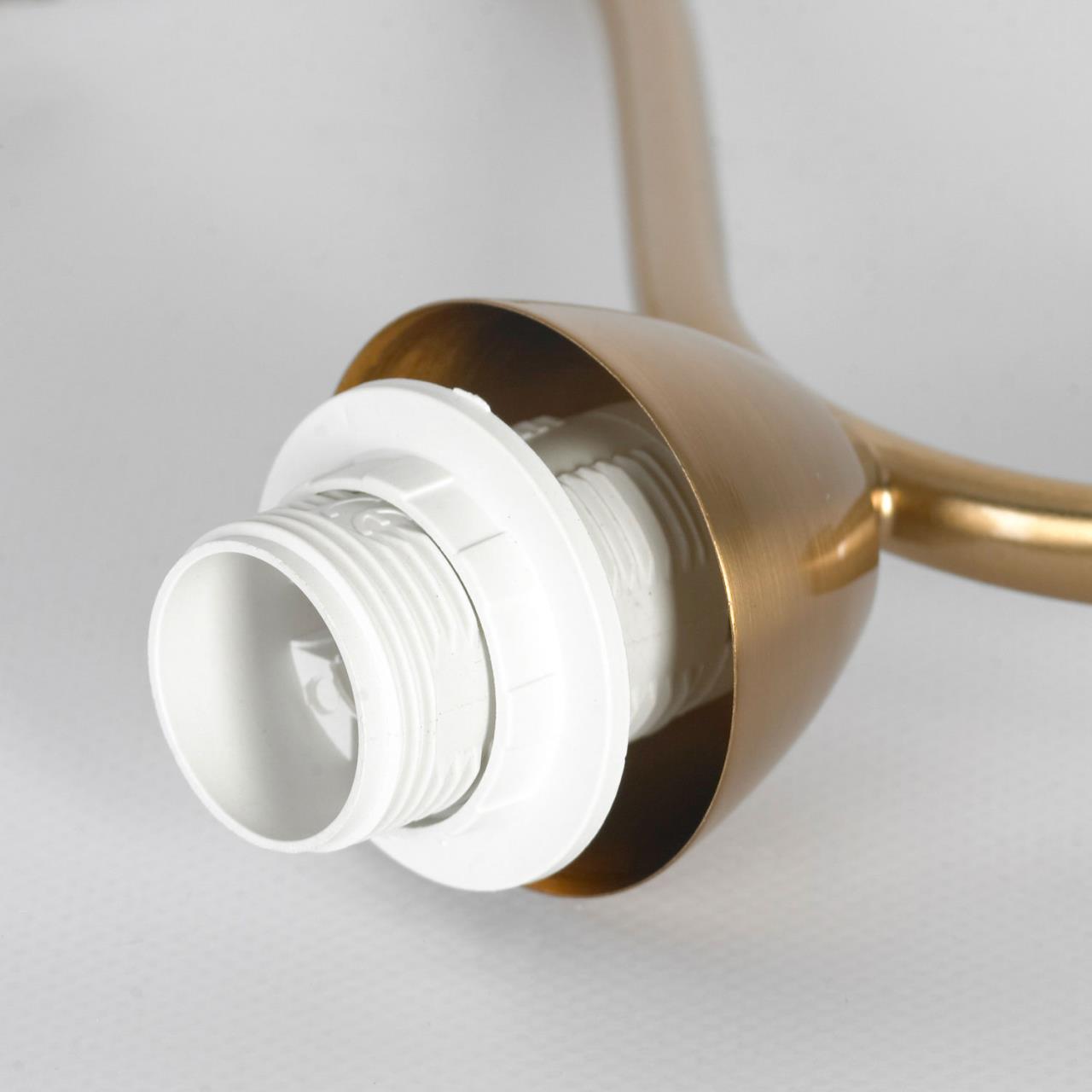 картинка Люстра подвесная Lussole LSP-8824 магазин pro-decor.kz являющийся официальным дистрибьютором в Казахстане картинка Люстра подвесная Lussole LSP-8824 от магазина pro-decor.kz