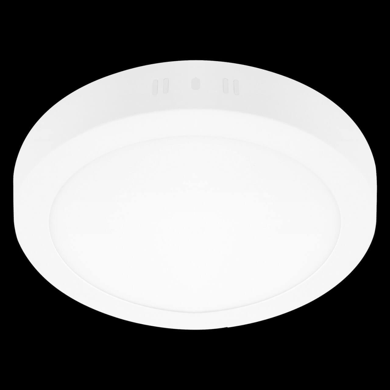 картинка Потолочный светодиодный светильник Lightstar Zocco 323124 от магазина pro-decor.kz