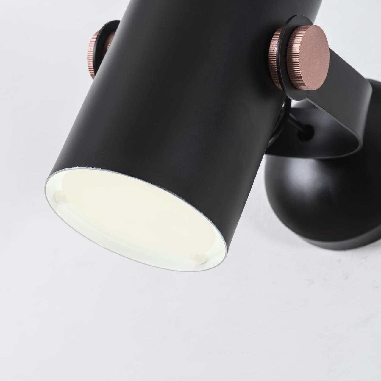 картинка Спот Favourite Ampolla 2007-1W от магазина pro-decor.kz