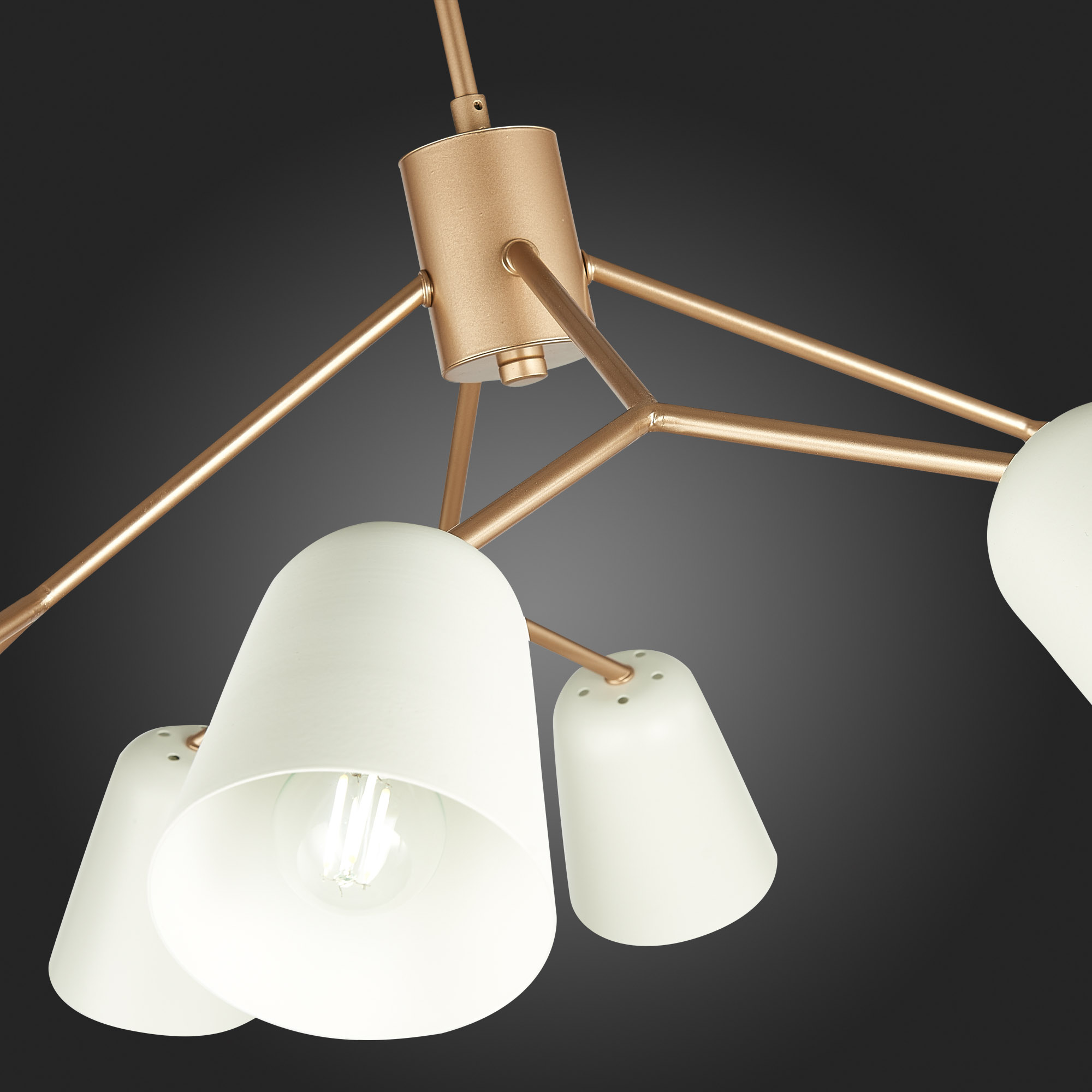 картинка Подвесная люстра Evoluce Mario SLE155902-08 магазин pro-decor.kz являющийся официальным дистрибьютором в Казахстане картинка Подвесная люстра Evoluce Mario SLE155902-08 от магазина pro-decor.kz