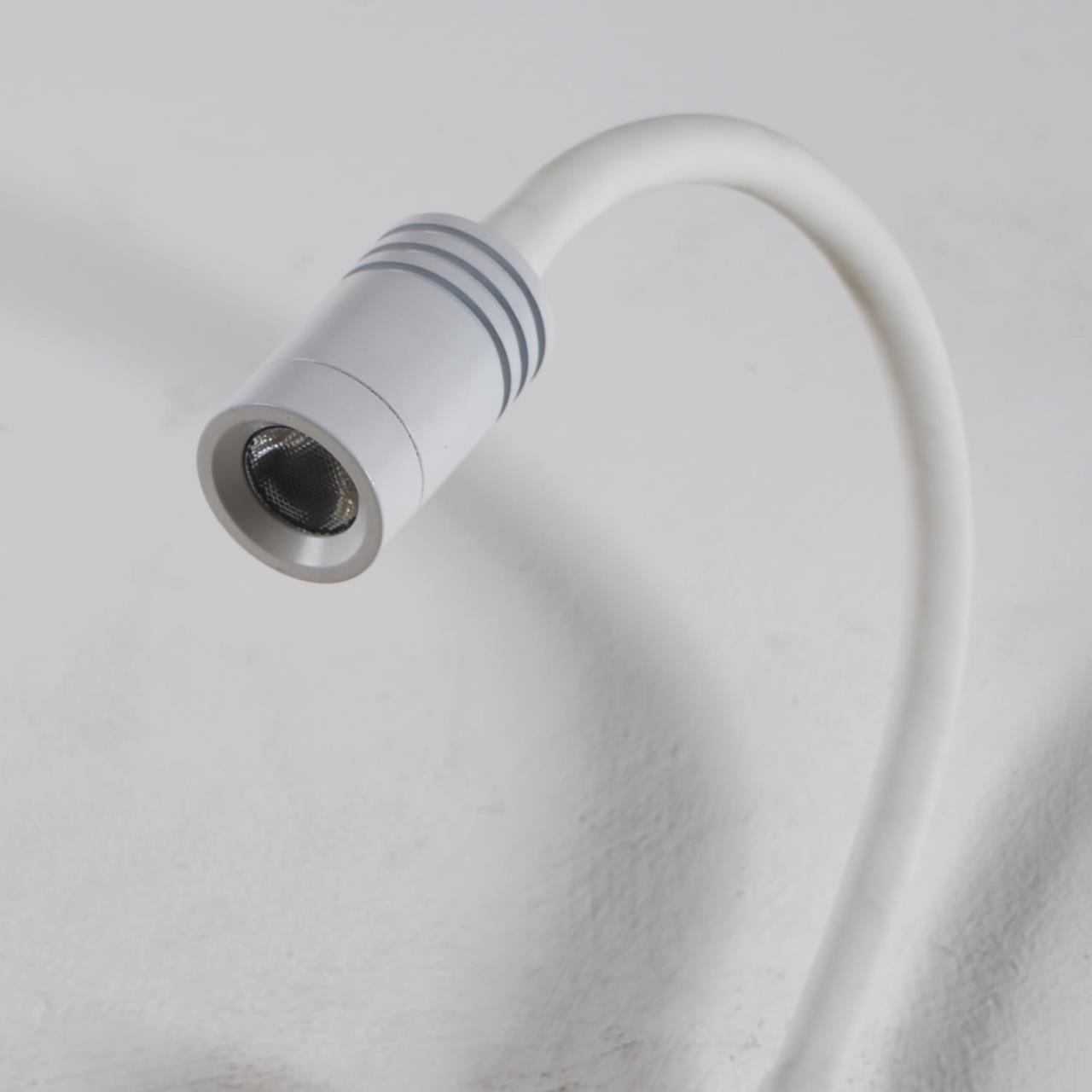 картинка Светодиодный спот Favourite Murum 1958-1W от магазина pro-decor.kz