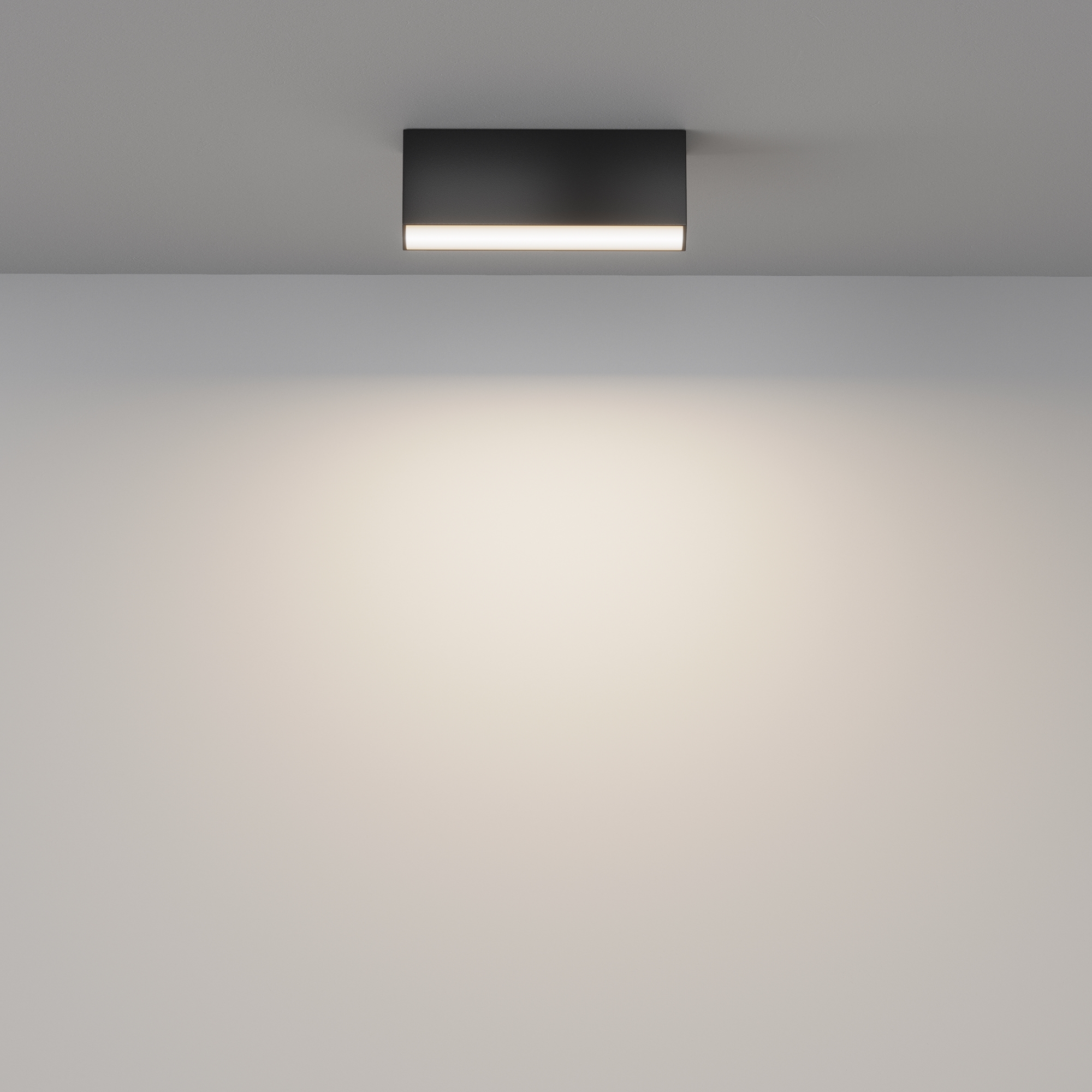 картинка Потолочный светильник Technical C068CL-12W3-6K-B от магазина pro-decor.kz