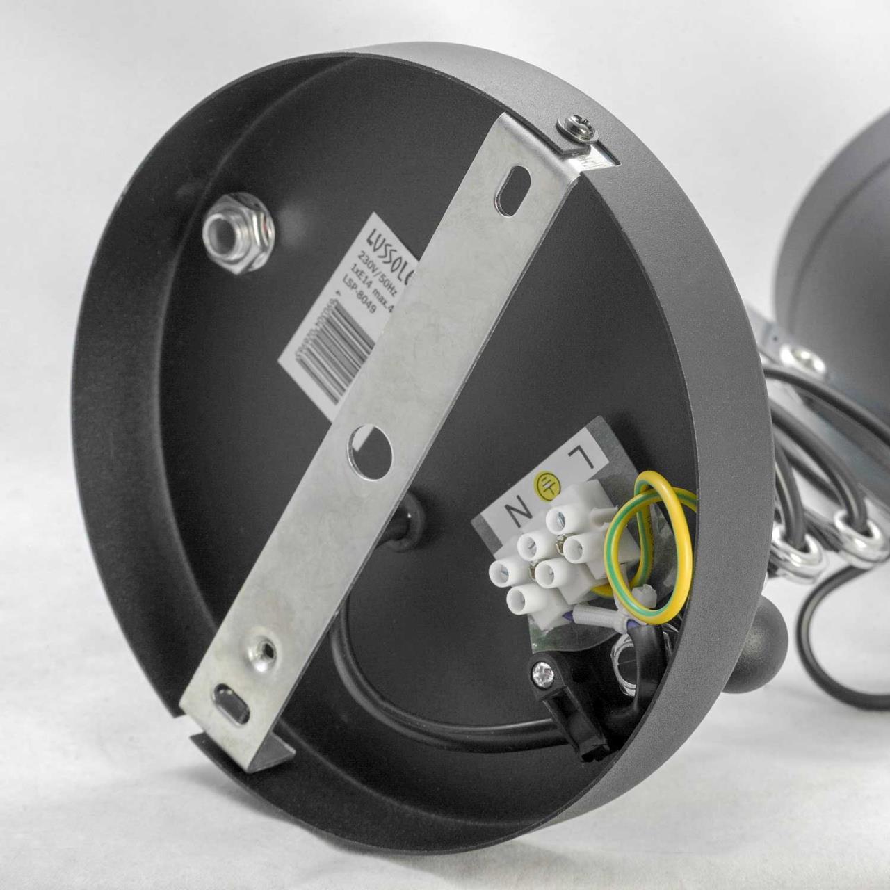 картинка Спот Lussole Loft Koyukuk LSP-8049 от магазина pro-decor.kz