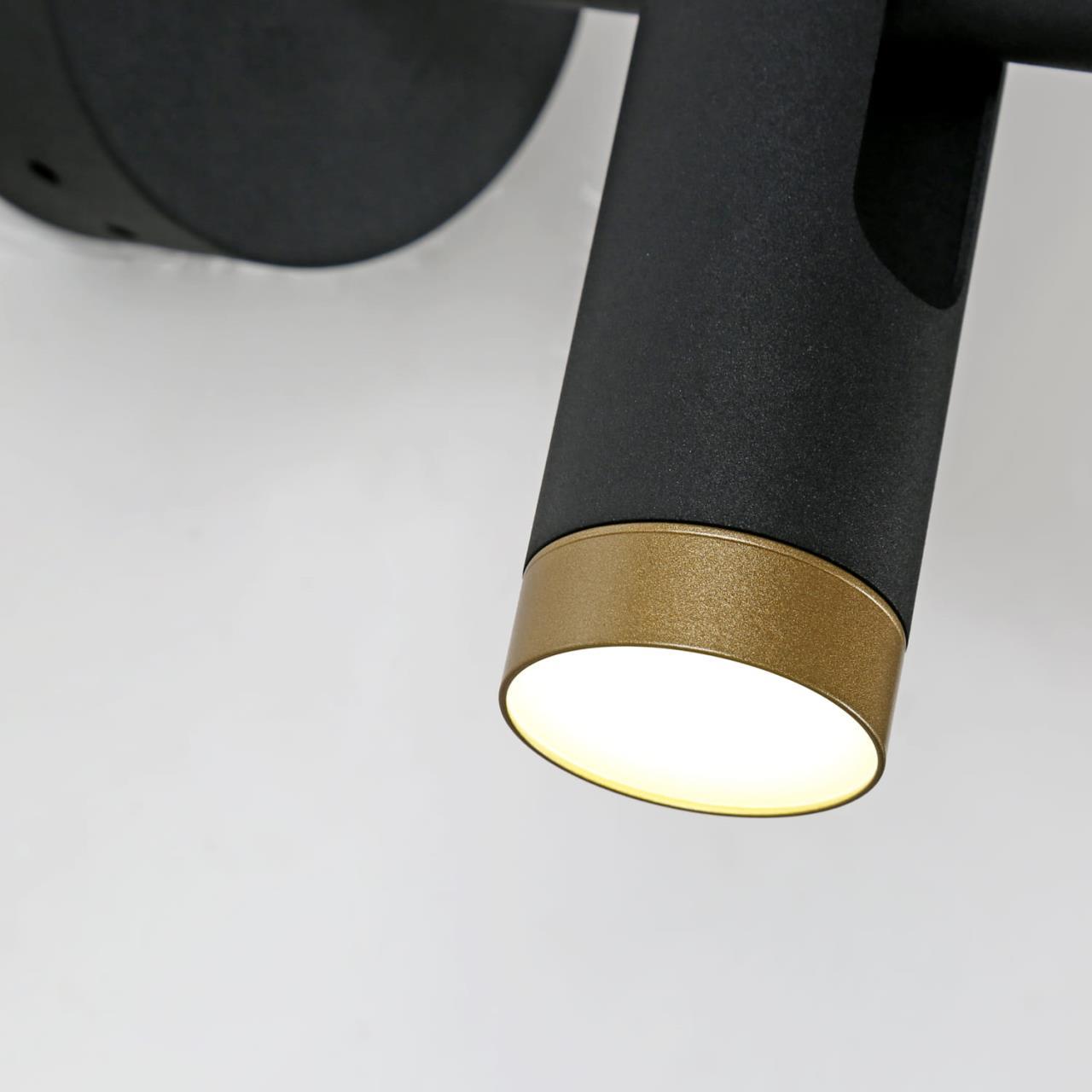 картинка Светодиодный спот Favourite Duplex 2324-2W от магазина pro-decor.kz