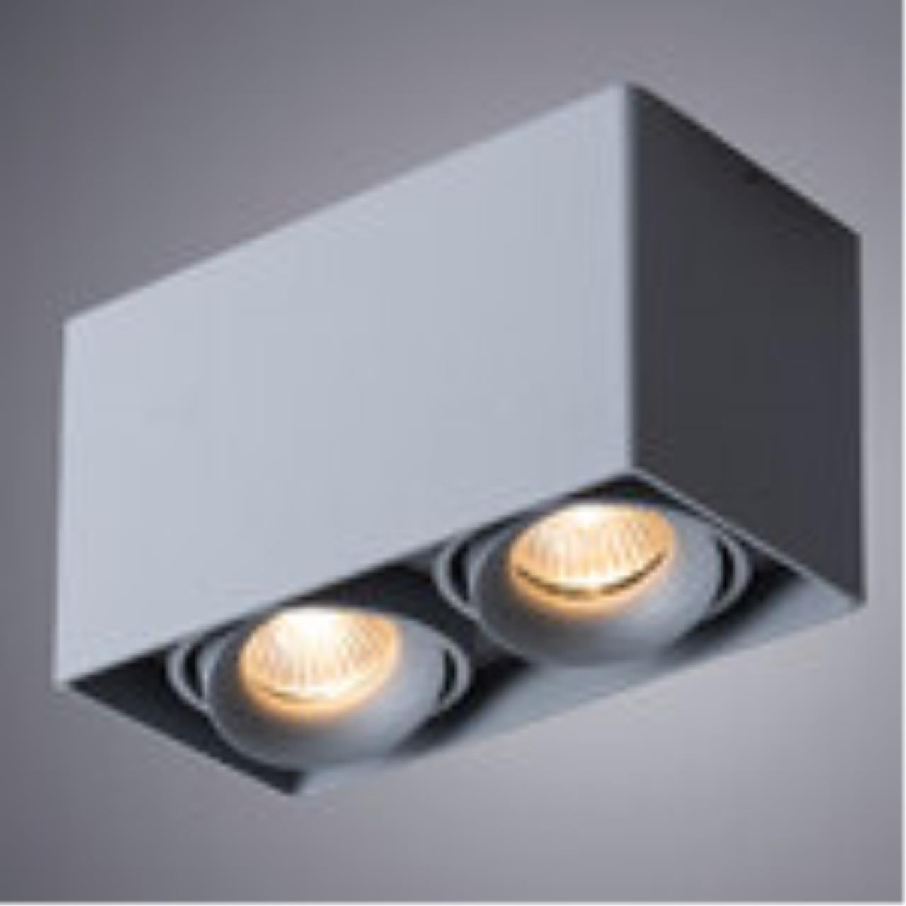 картинка Потолочный светильник Arte Lamp Pictor A5654PL-2GY магазин pro-decor.kz являющийся официальным дистрибьютором в Казахстане картинка Потолочный светильник Arte Lamp Pictor A5654PL-2GY от магазина pro-decor.kz